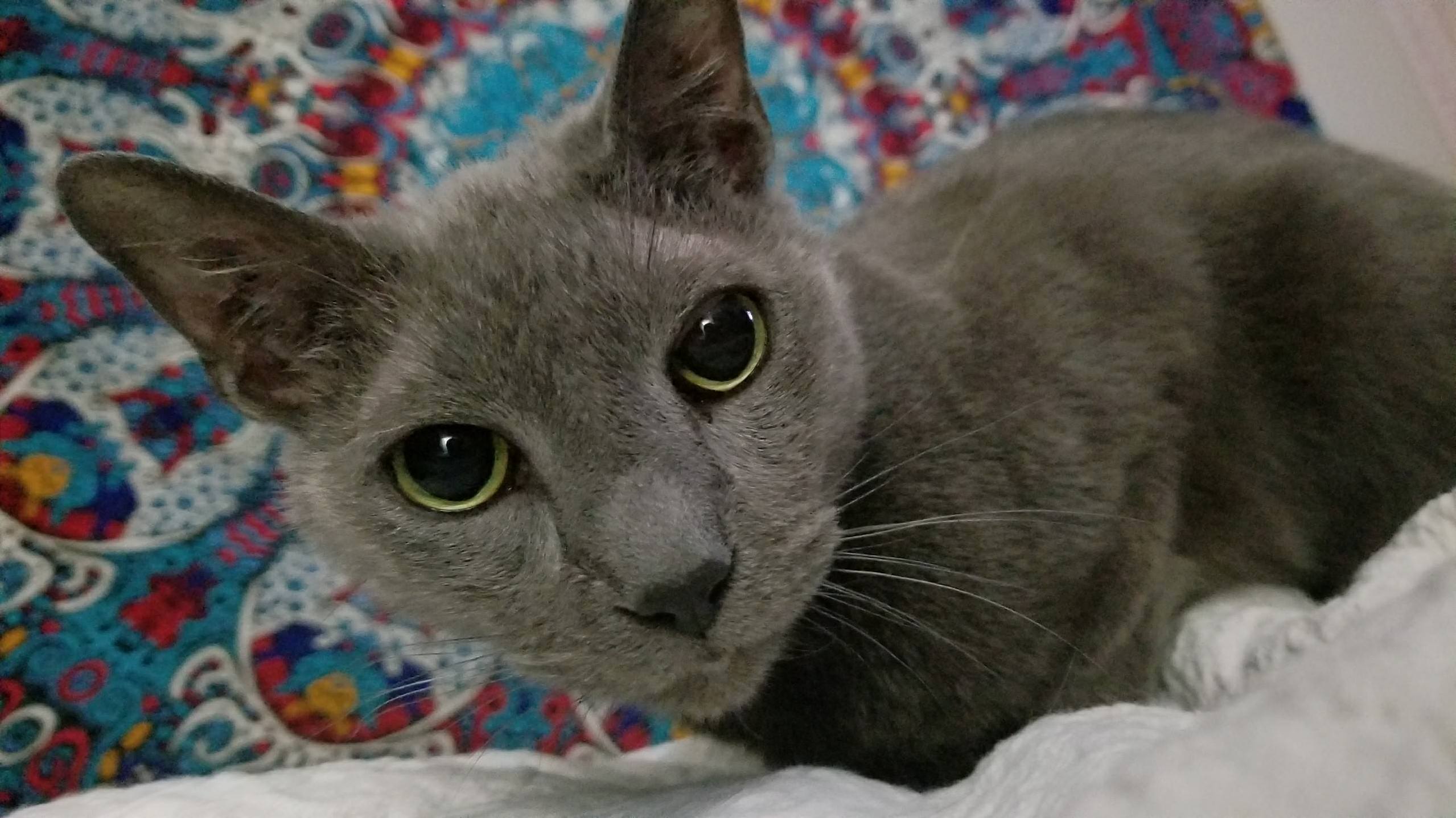 Staring Into Your Soul