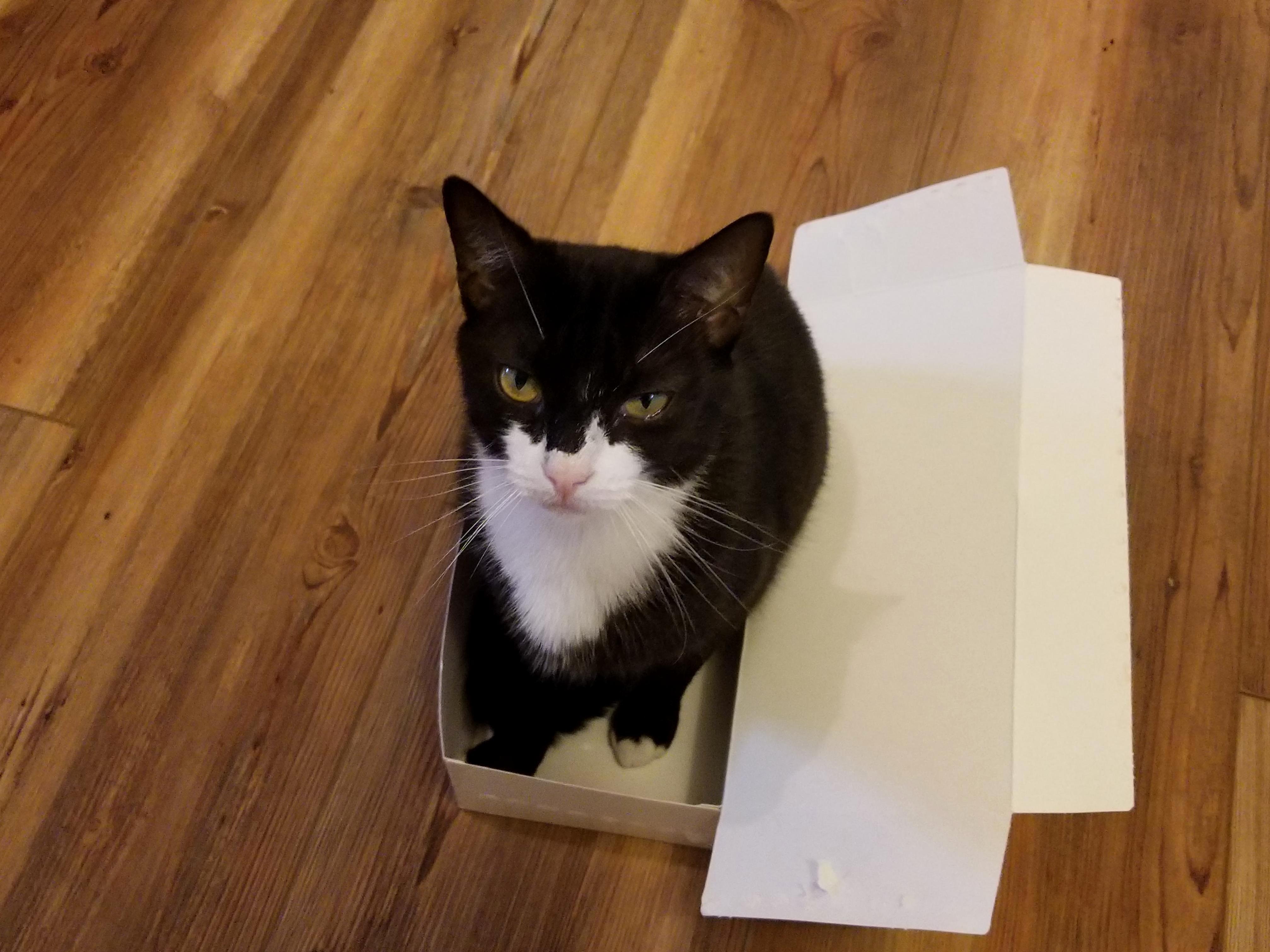 Tc2 Really Likes Boxes.