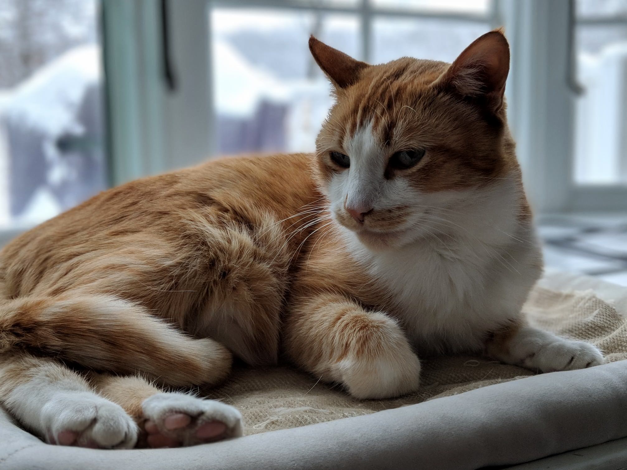 Testing My New Phone - Turned Out Pretty Great!