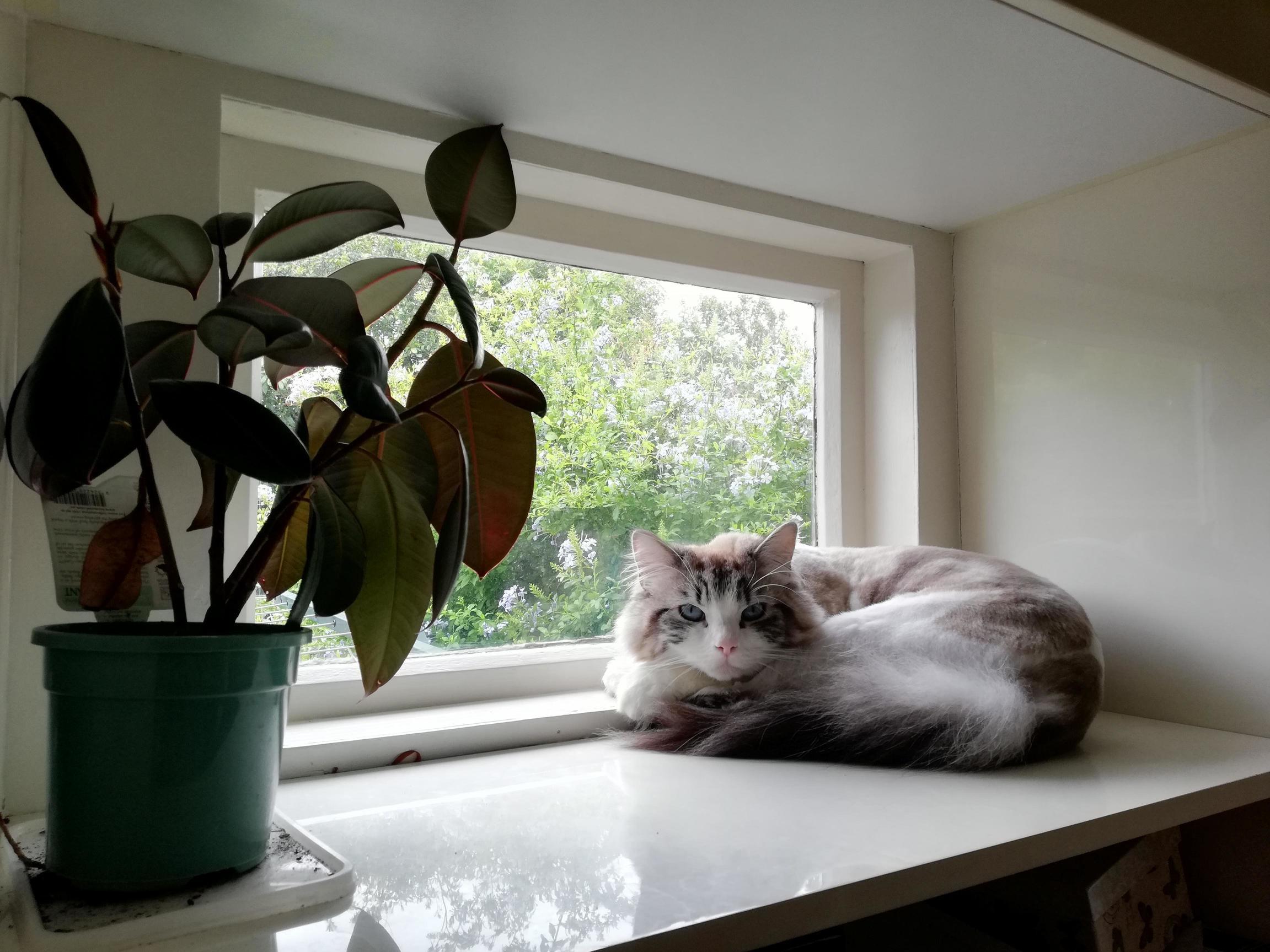 The Best Thing About Our New Place