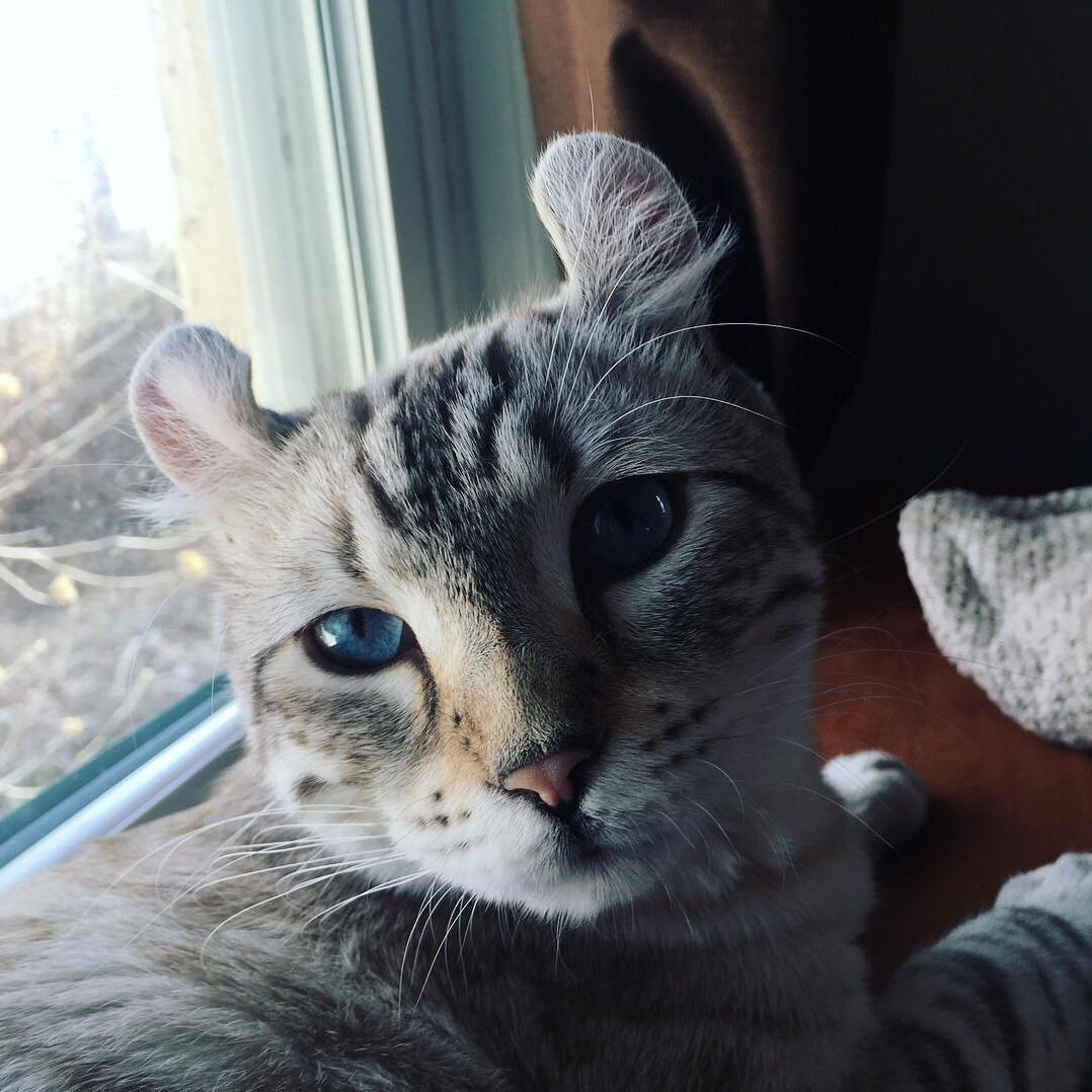 The Oldest Little Soul