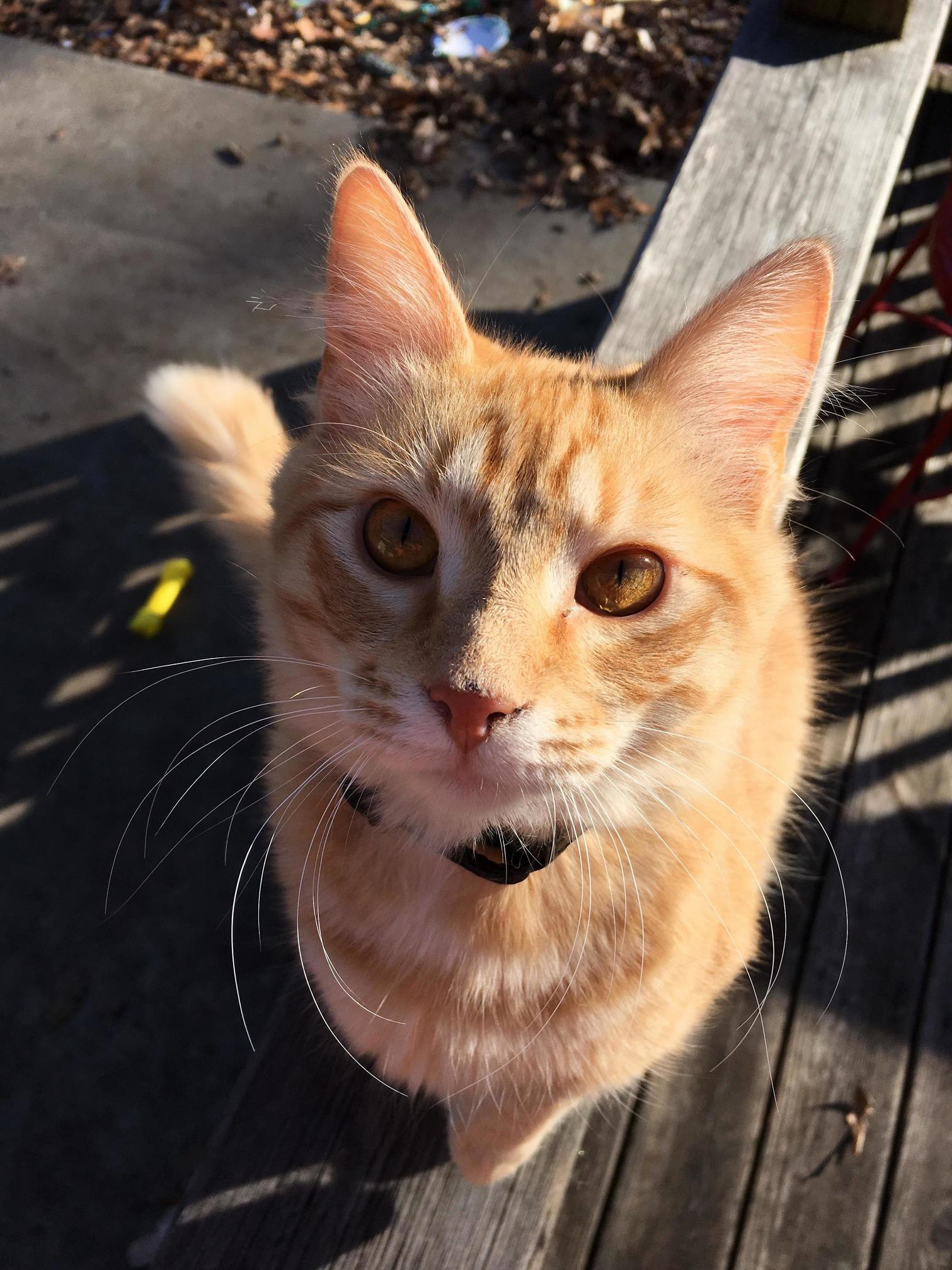 This Is Alex. He Is Very Photogenic.