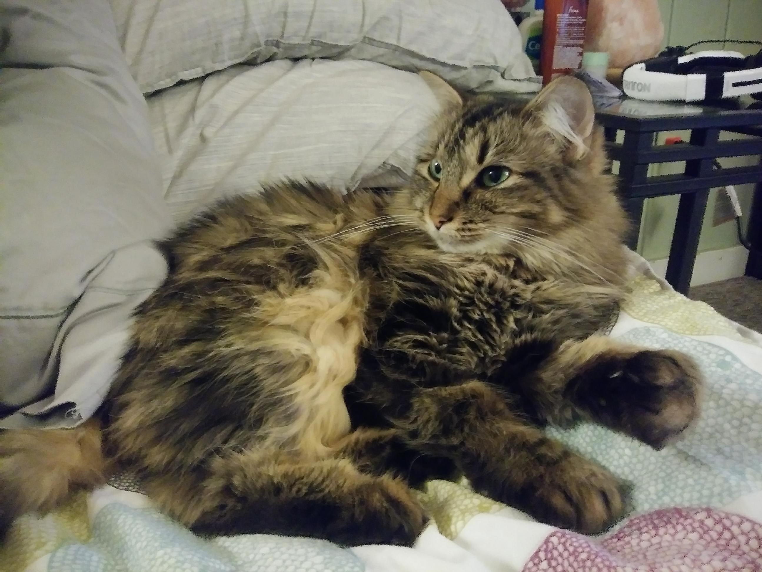 This Is Screamy, A.k.a Chanel No. 5, My Main Squeeze.