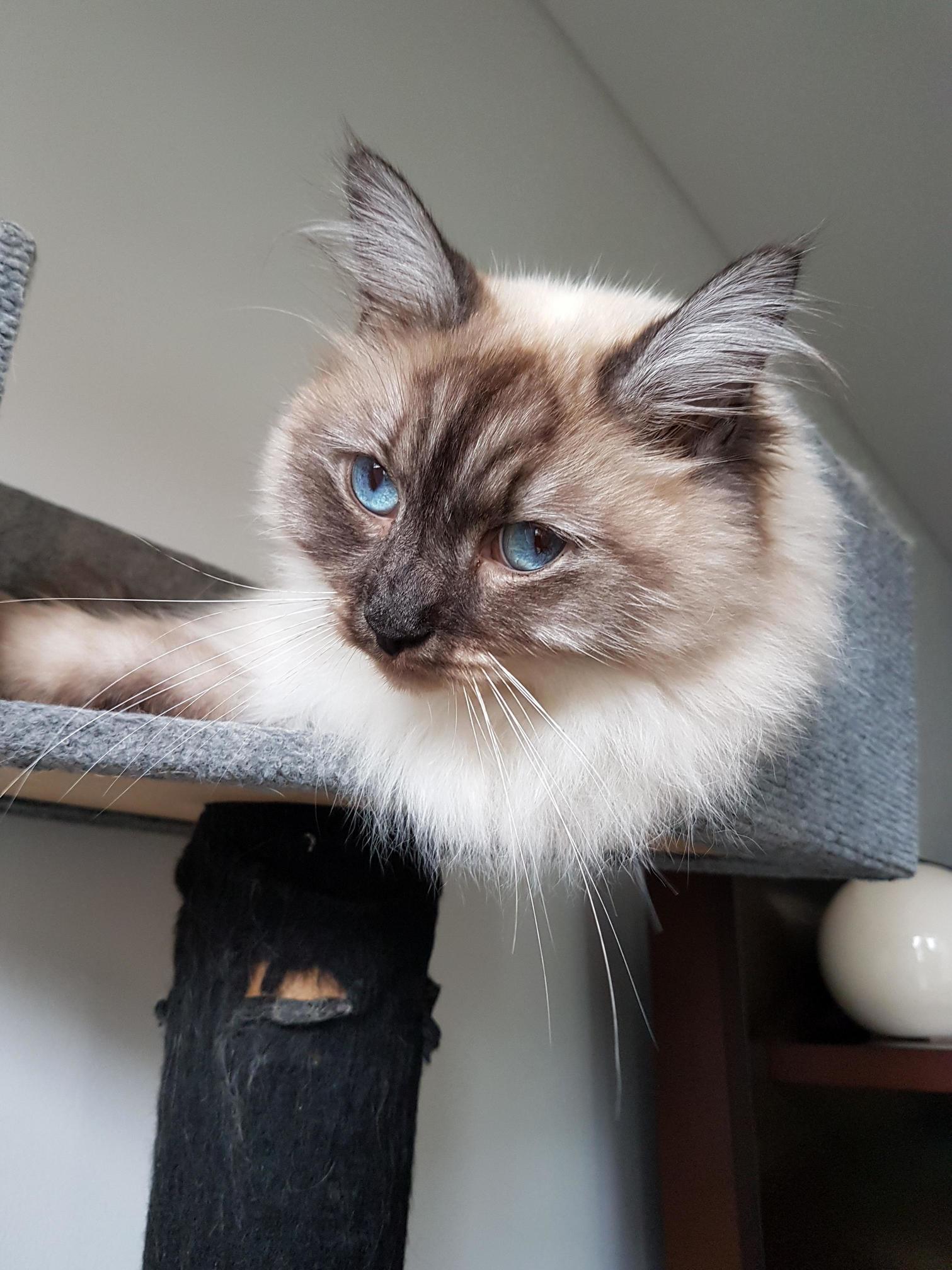 Those Eyes...