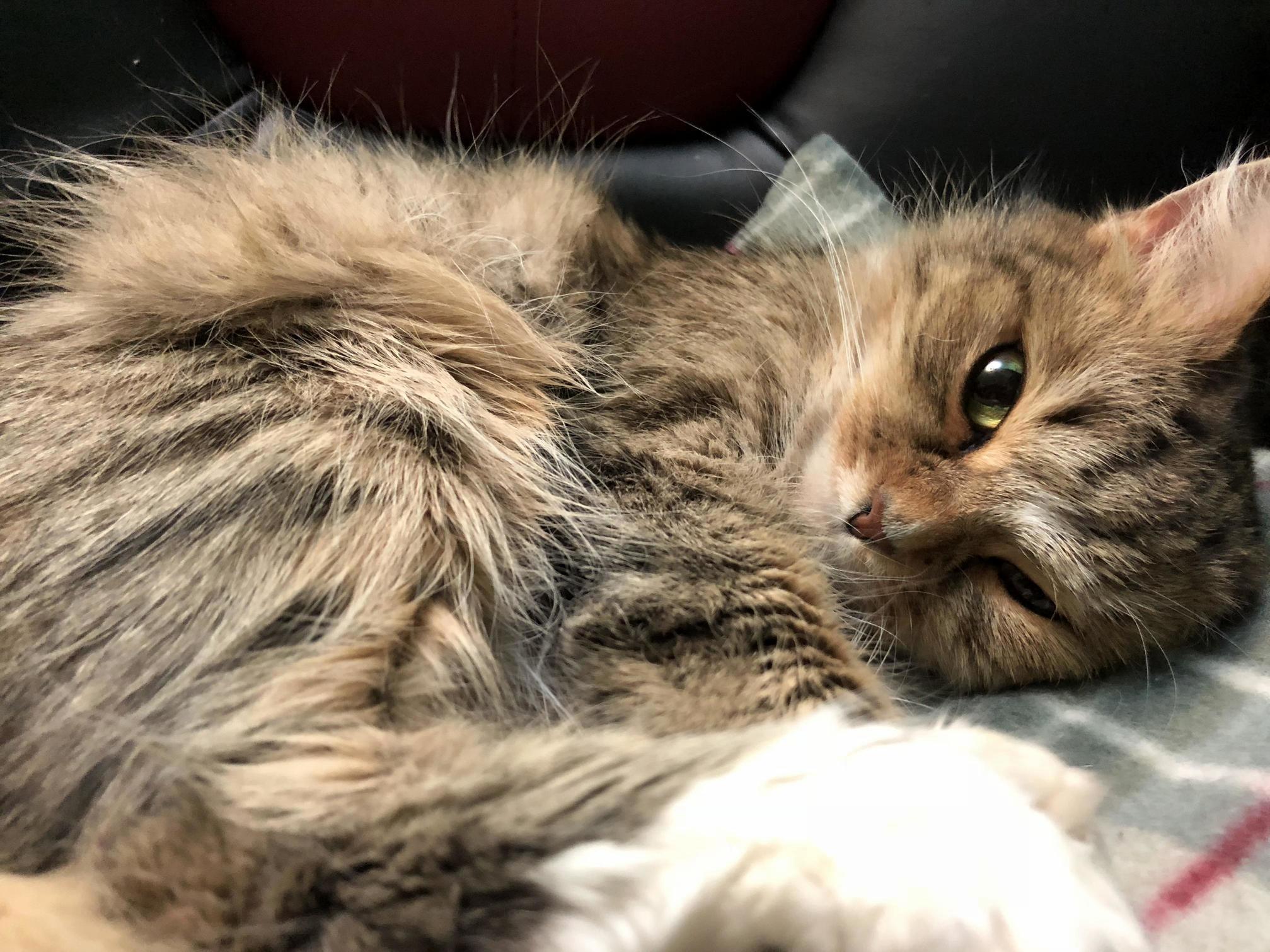 Waking Up on the First Day of 2018. Happy New Year!!
