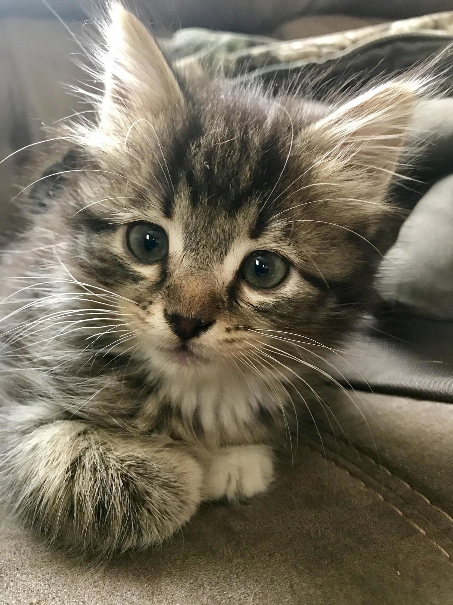 We Just Got This Little Girl Yesterday! Her Name Is Mia. Shes So Sweet!!!