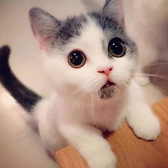 Whacha Doing