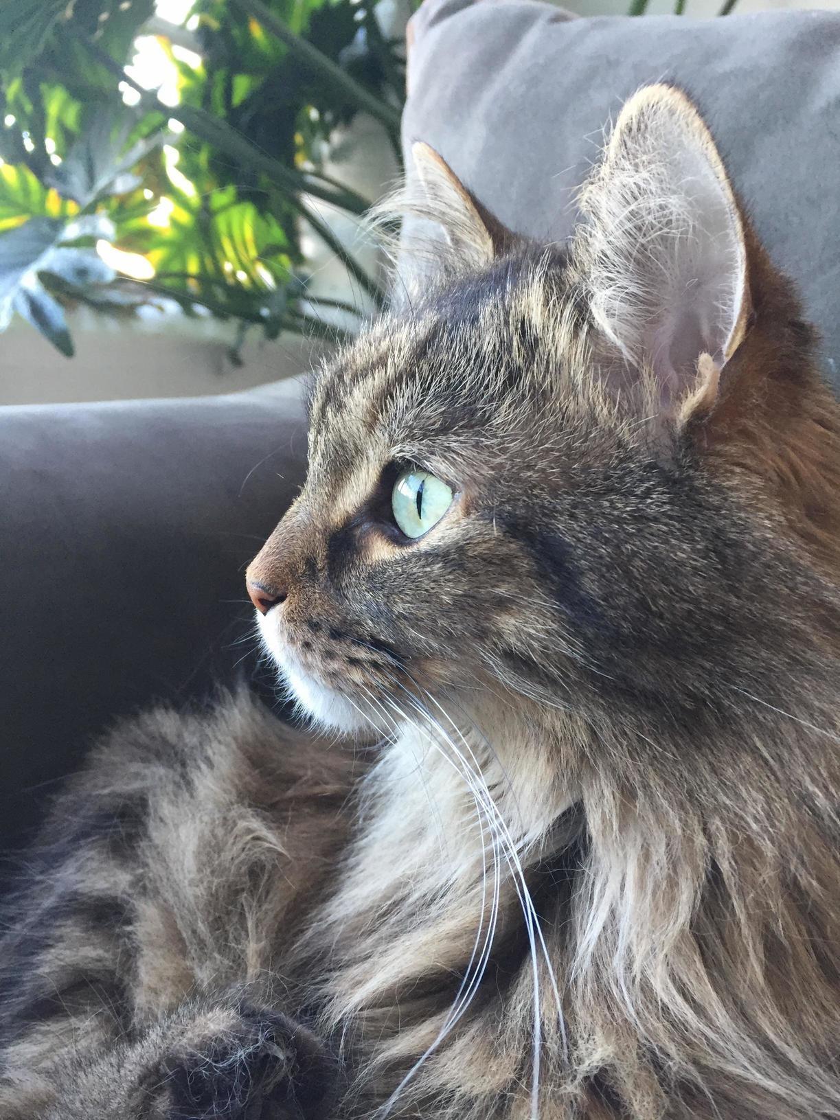 What a Handsome Boy.
