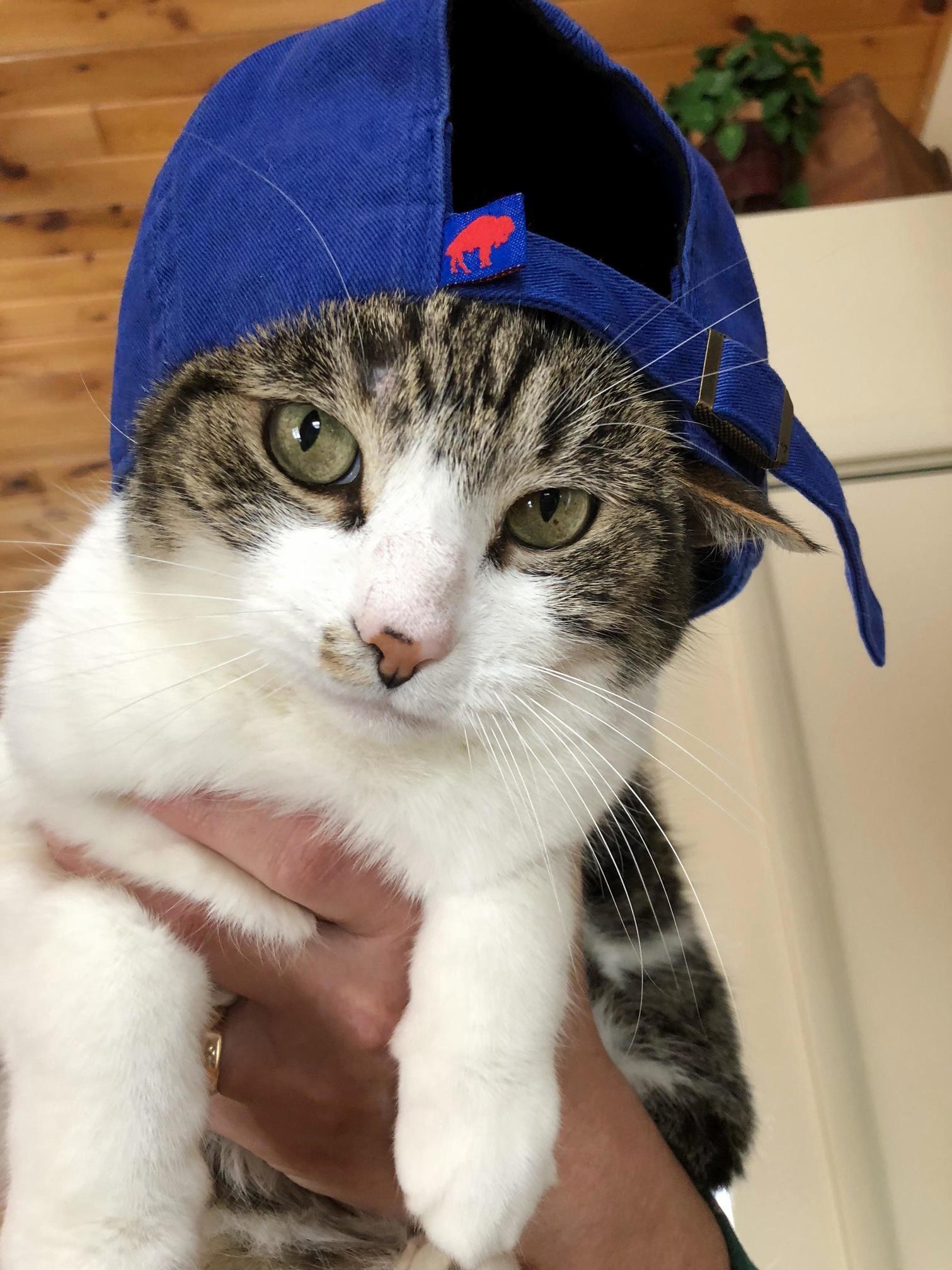 Win or Lose Leo Is a Bills Fan Through and Through!