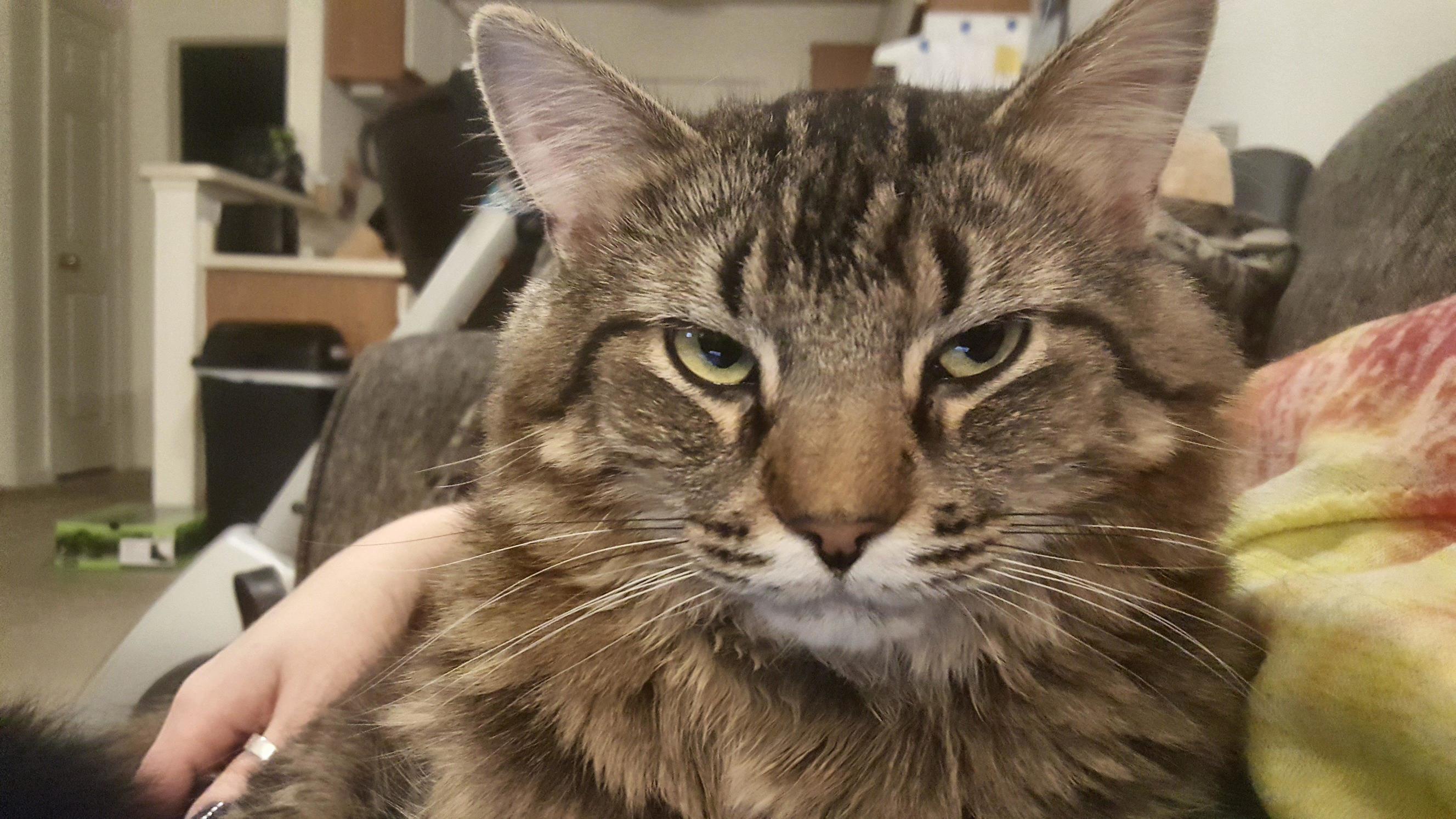 You Really Woke Me Up to Take a Picture...