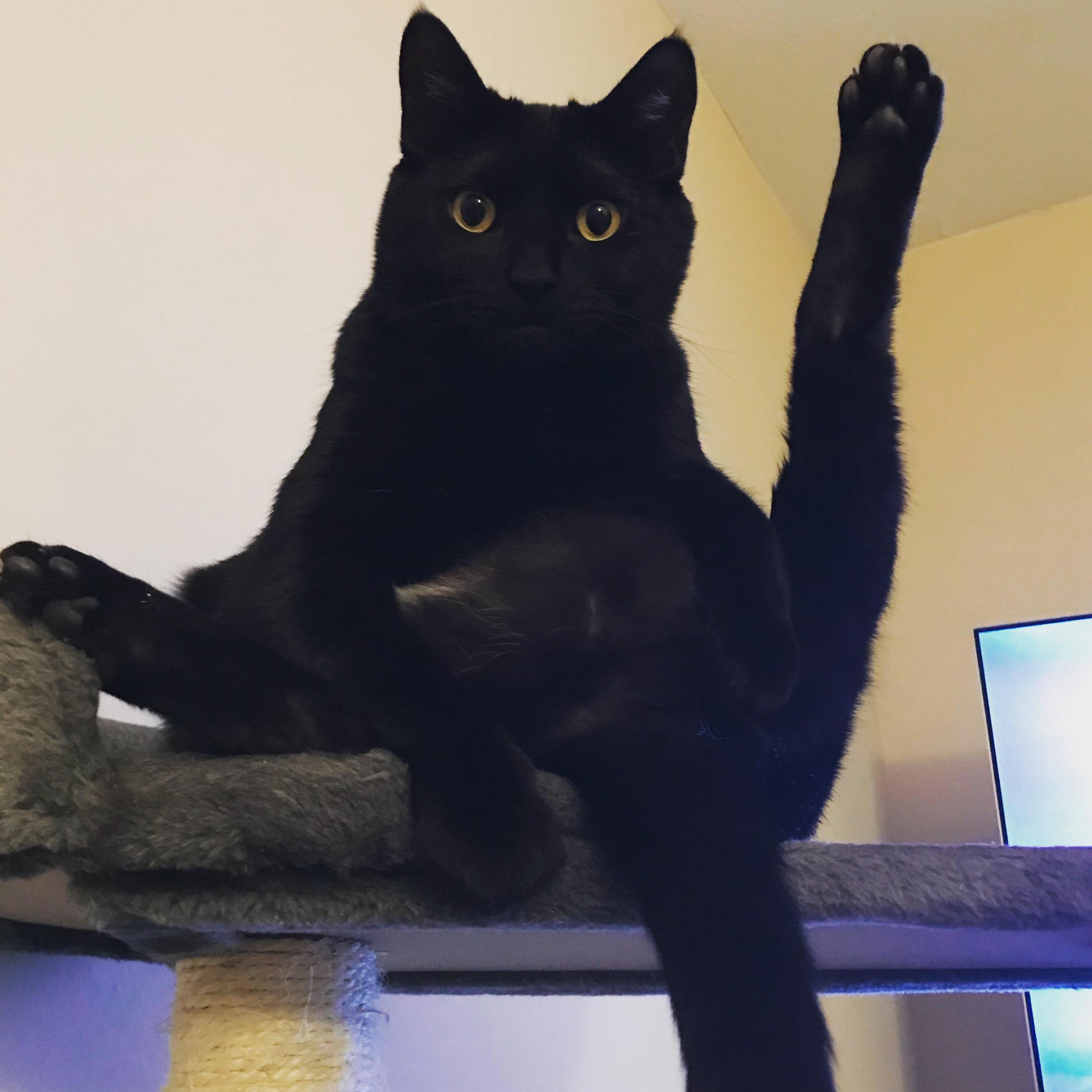 Talk to My Foot, Mom