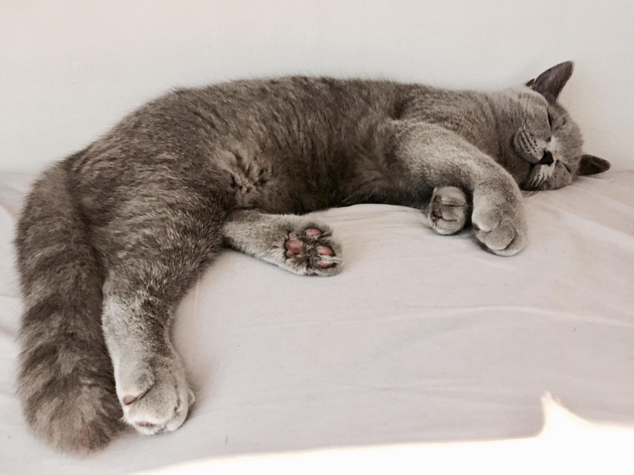 6pm Nap!