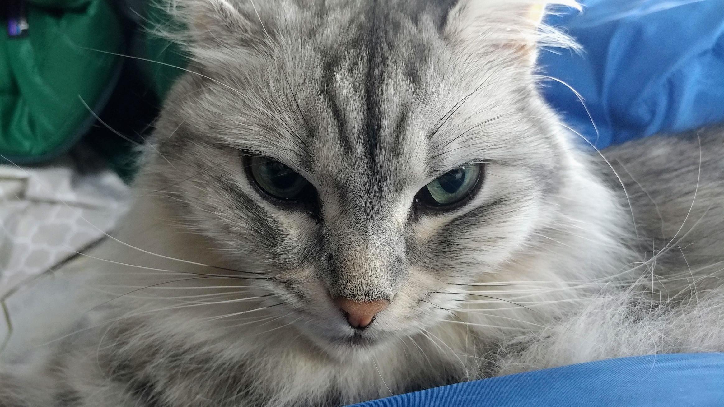 A Hard Look from Lucy