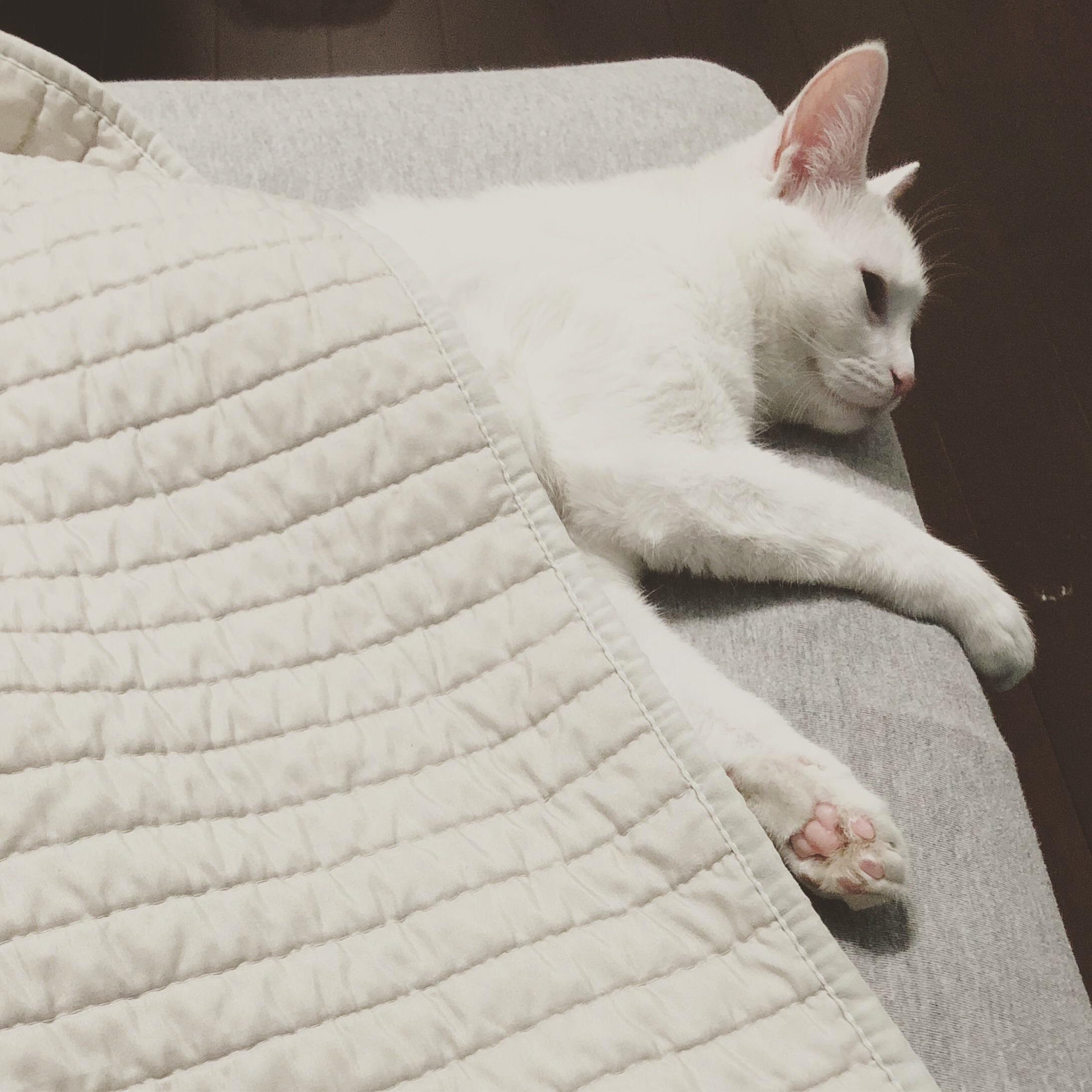 All Tucked In.