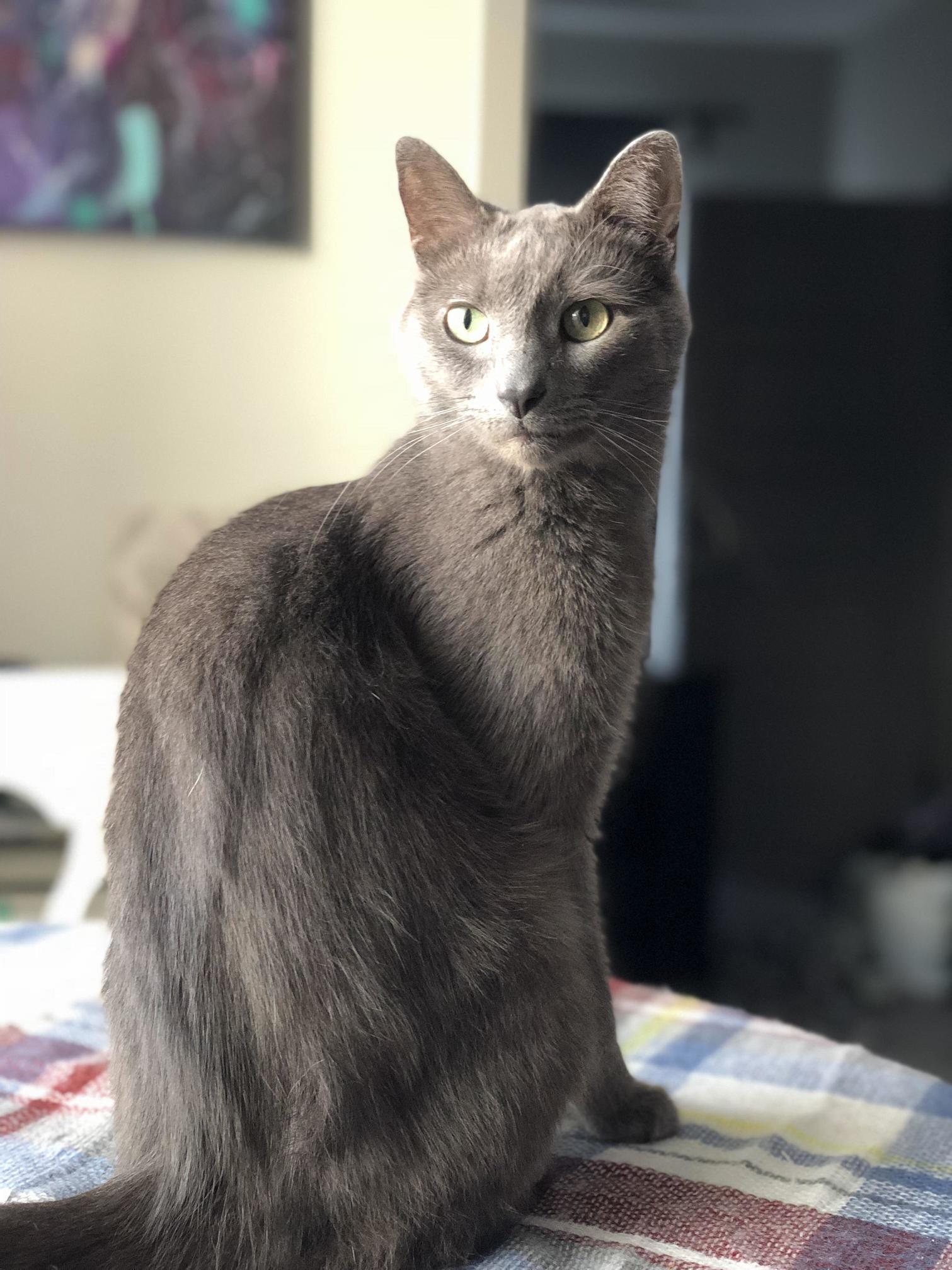 Almost Too Handsome