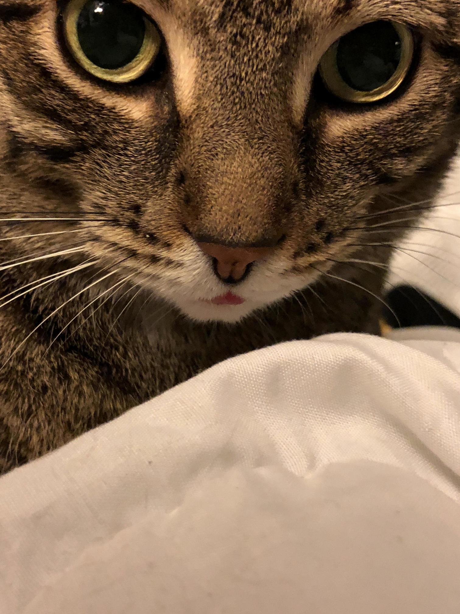 Bleep