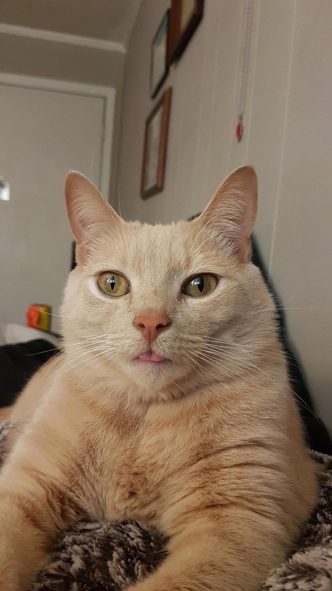 Derp.