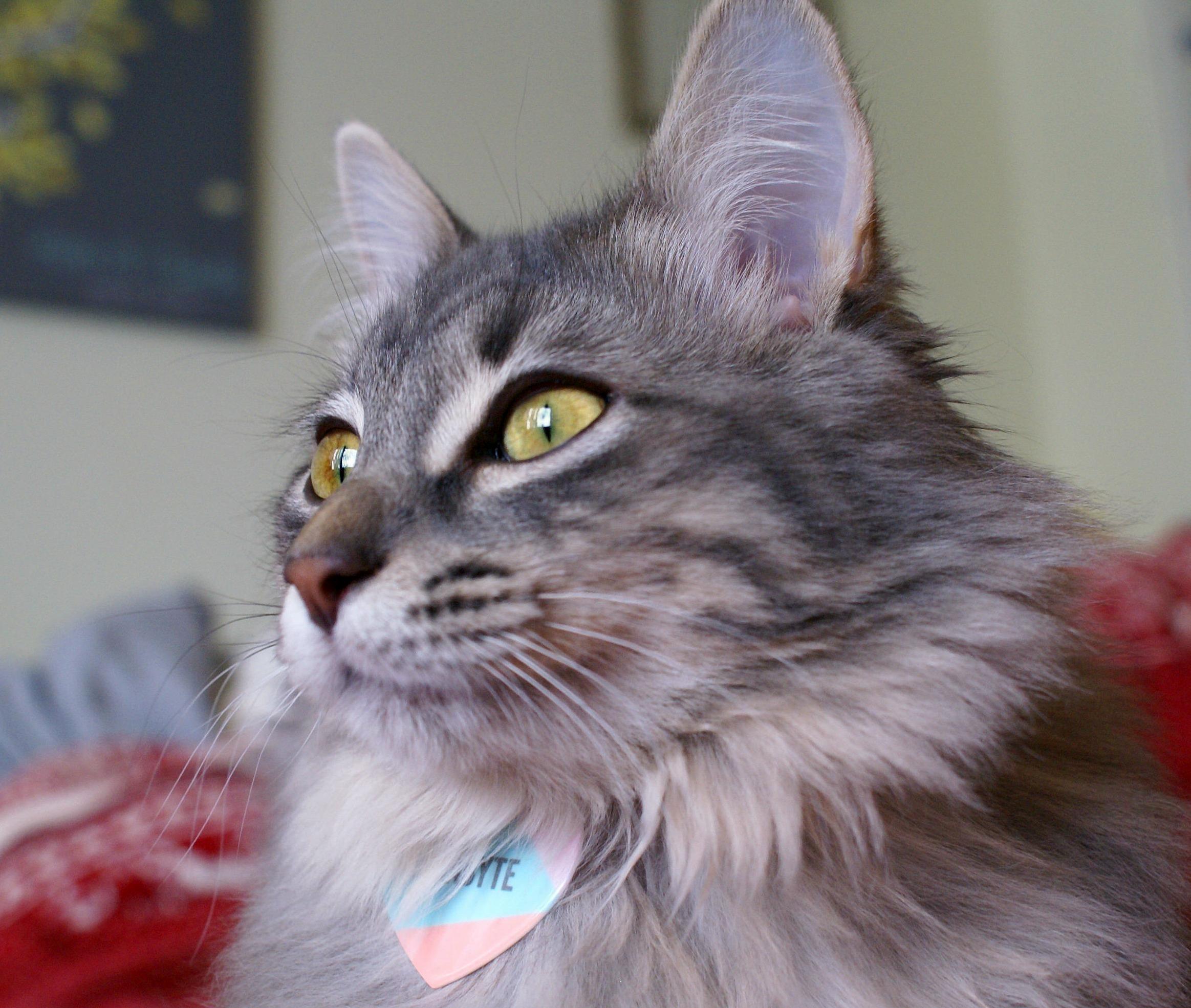 Gigabyte Has Been Working on Her Modeling