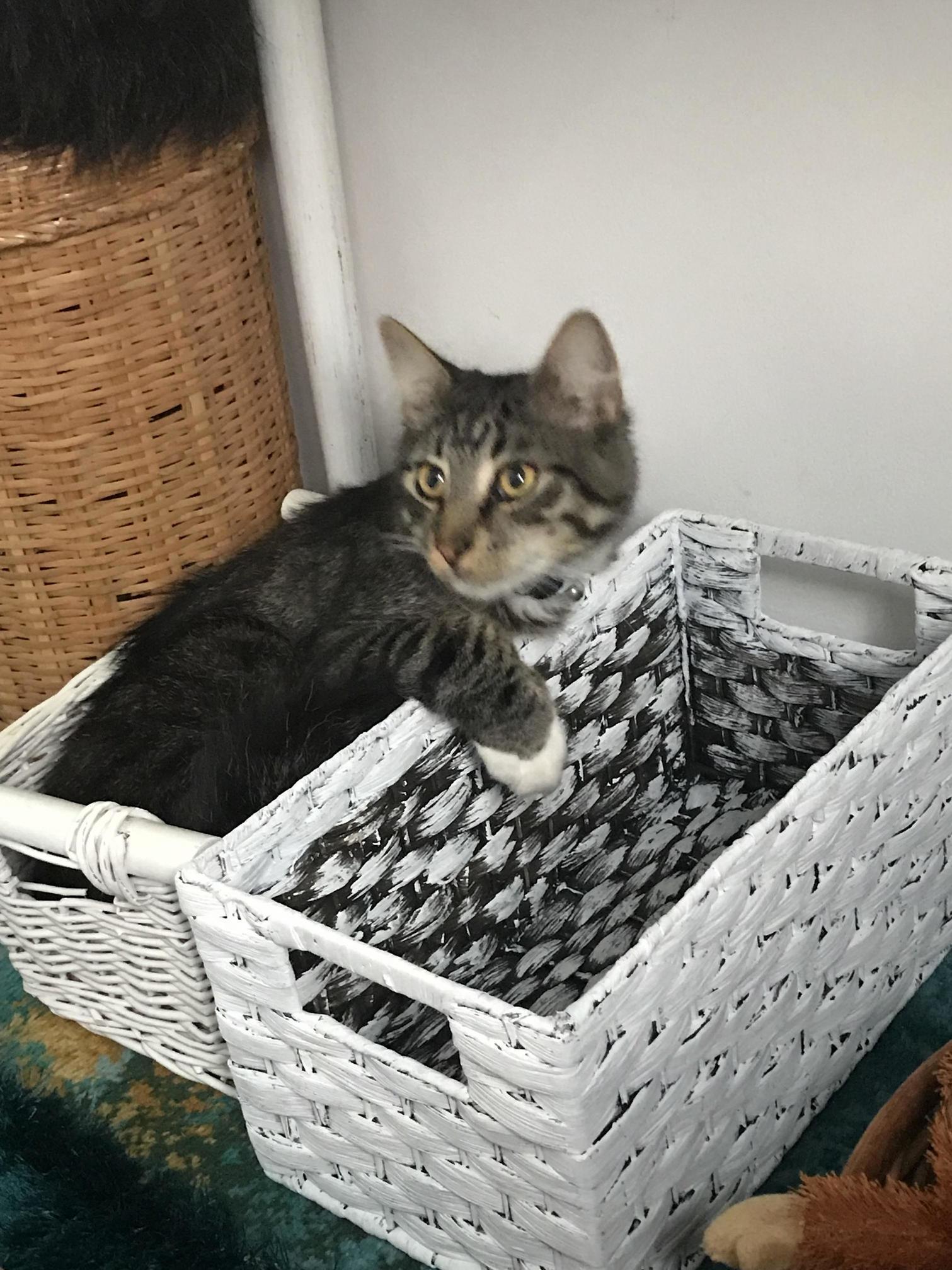 He Fits.