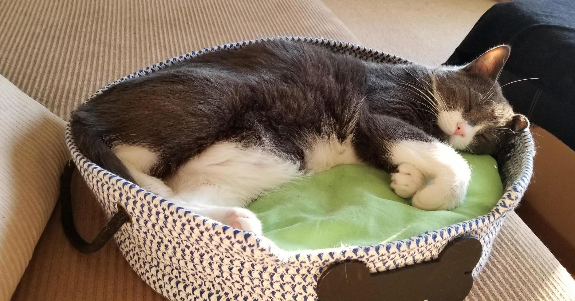 He Has Such a Hard Life