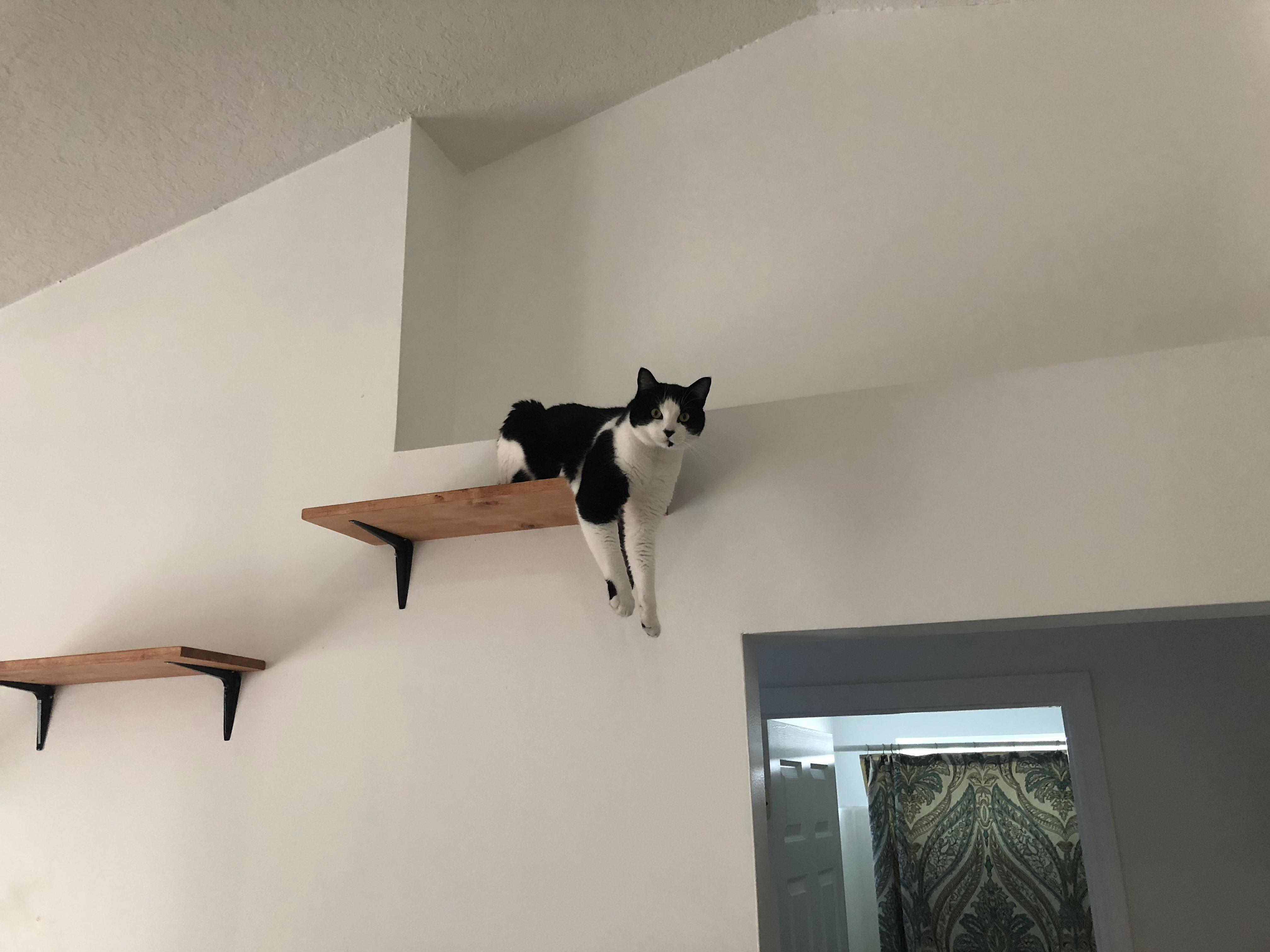 He Lays Like This for Hours Sometimes.