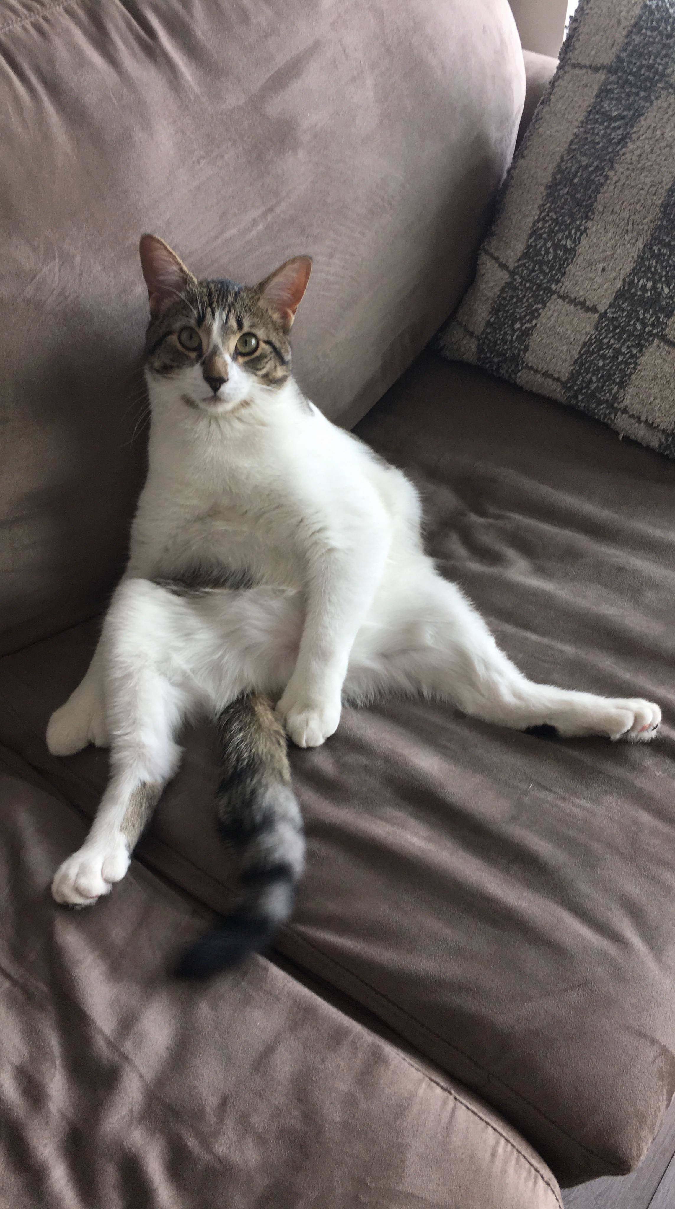 He Thinks Hes People!