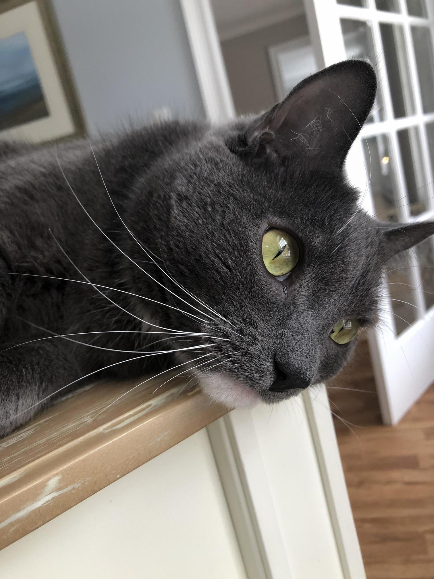 Heartbreaker! Jack and His Gorgeous Eyes!