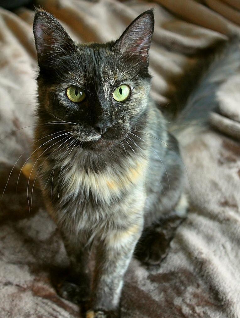 Hey Reddit! Say Hello to Foster Fail Natasha!