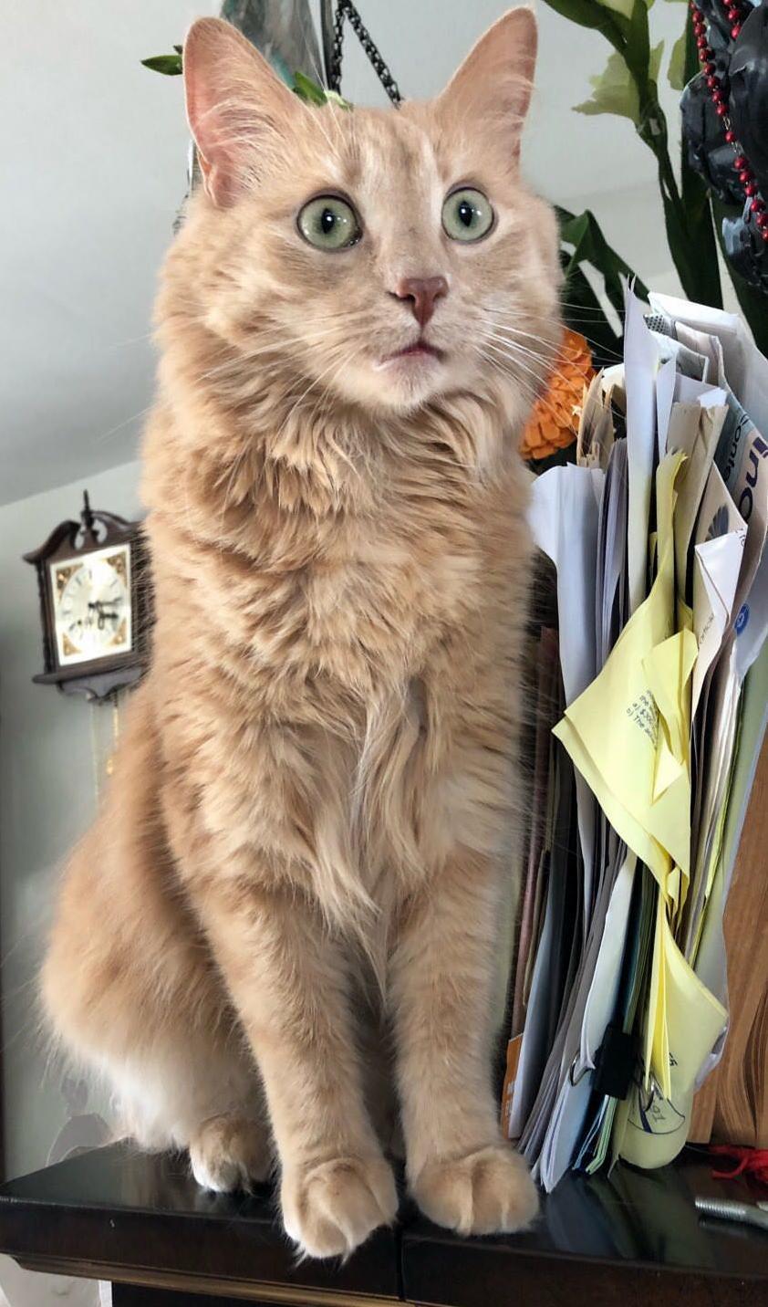 His Face Whenever He Sees a Bird.