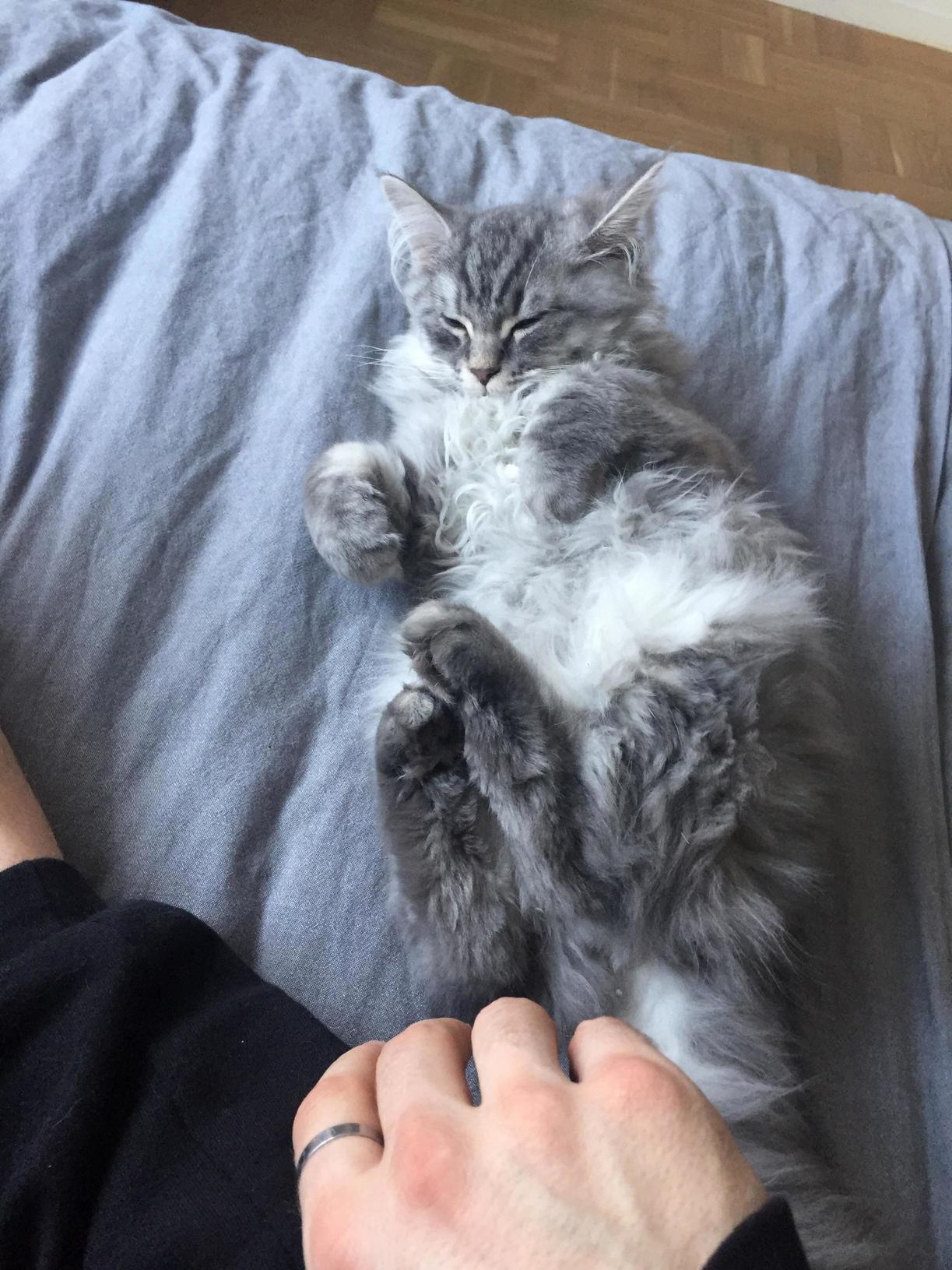 I Borrowed This Little Guy Over the Weekend