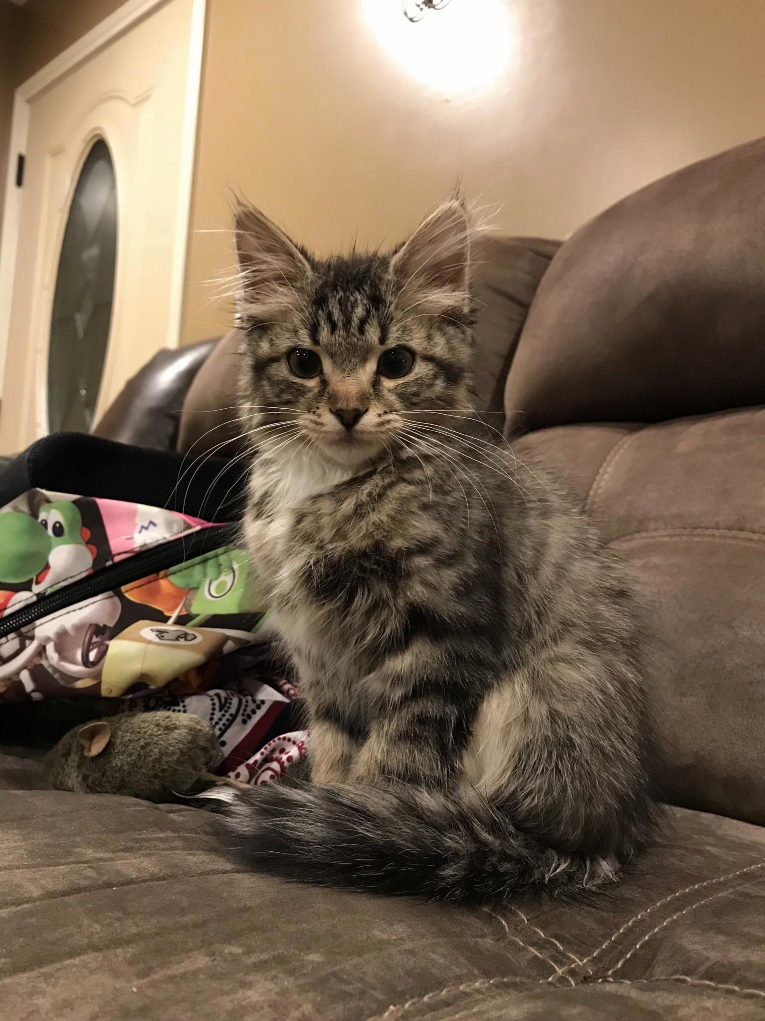 If Looks Could Kill...