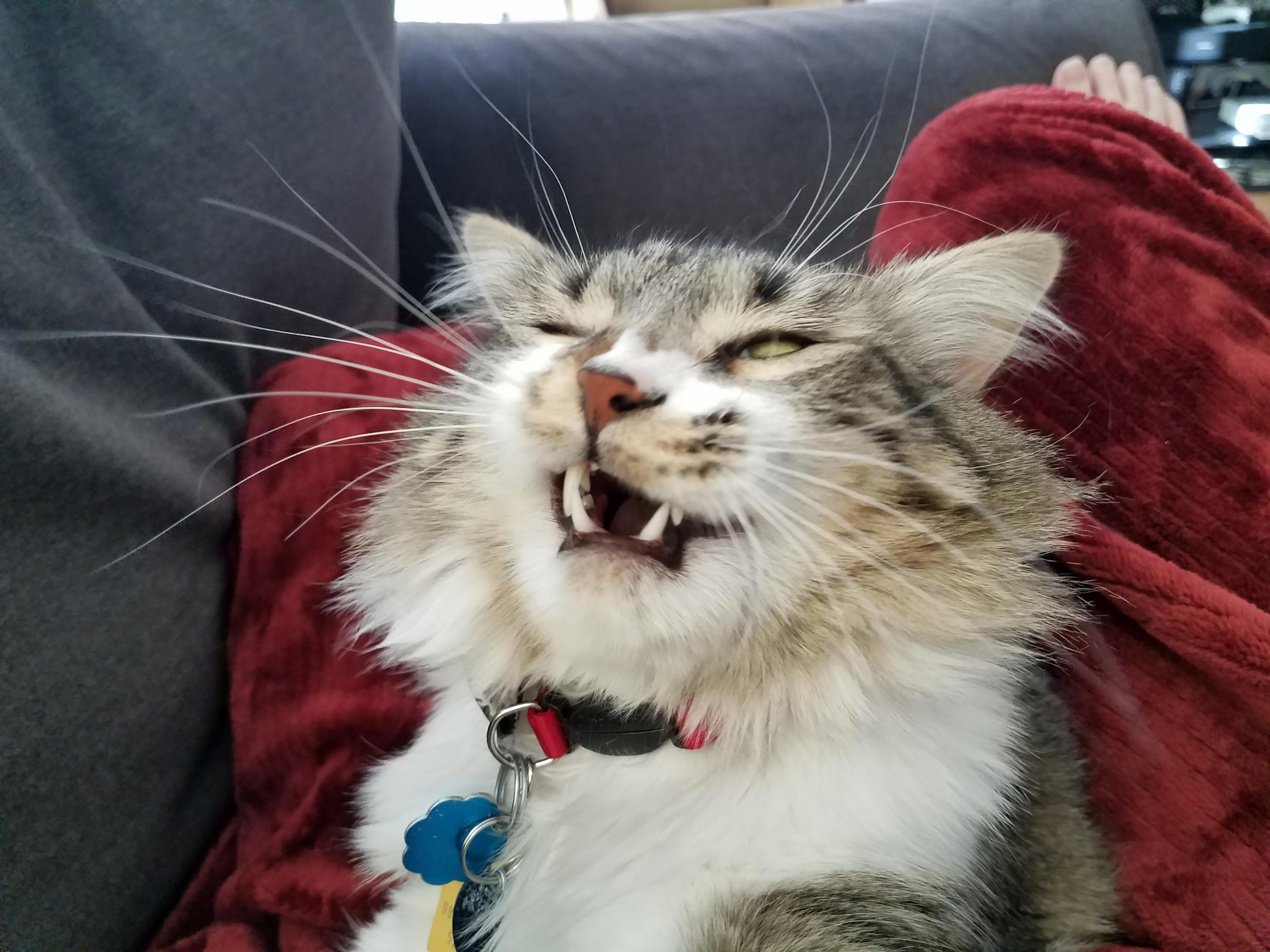 If Monday Had a Face...