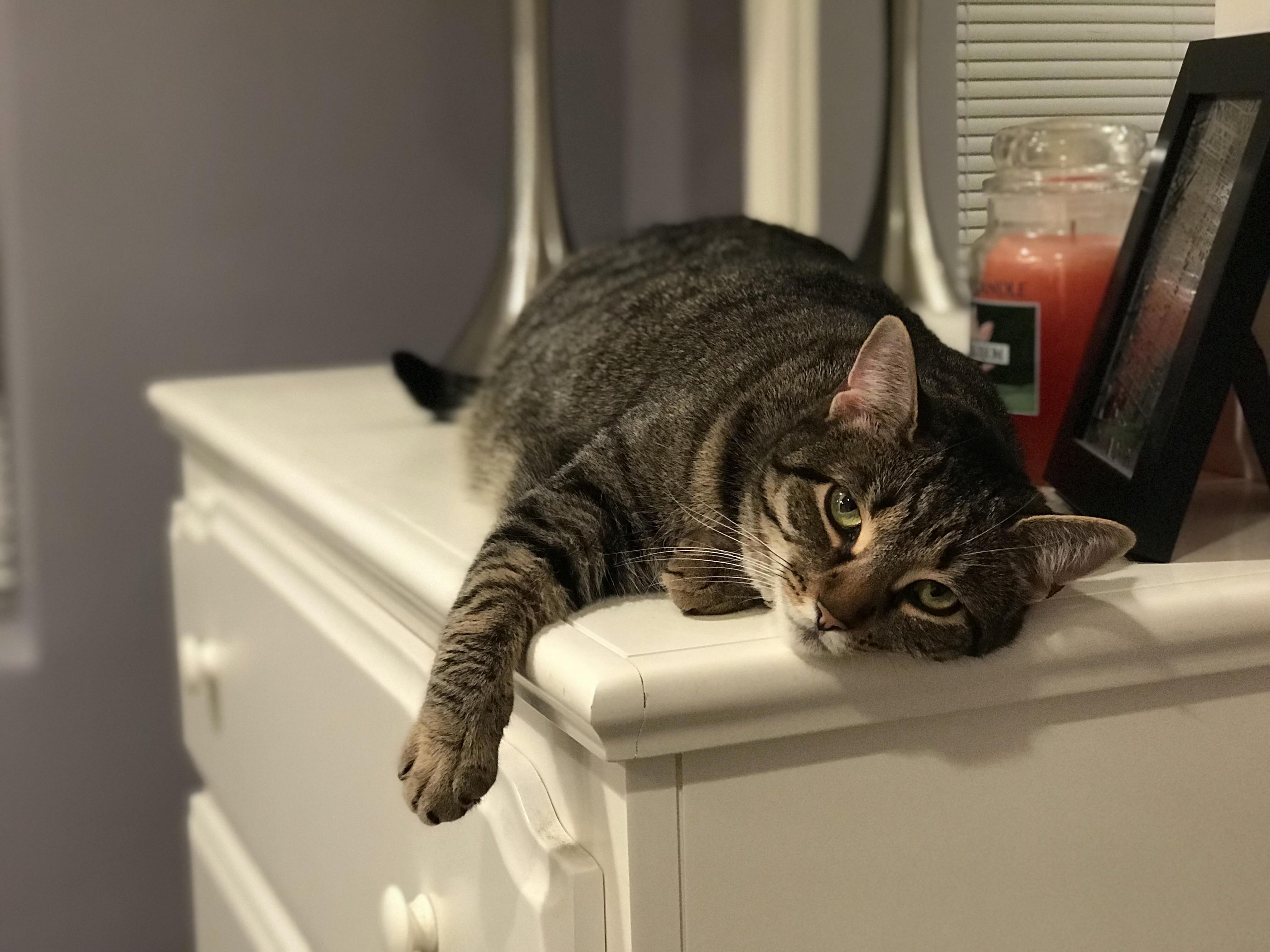 Lazy Saturday