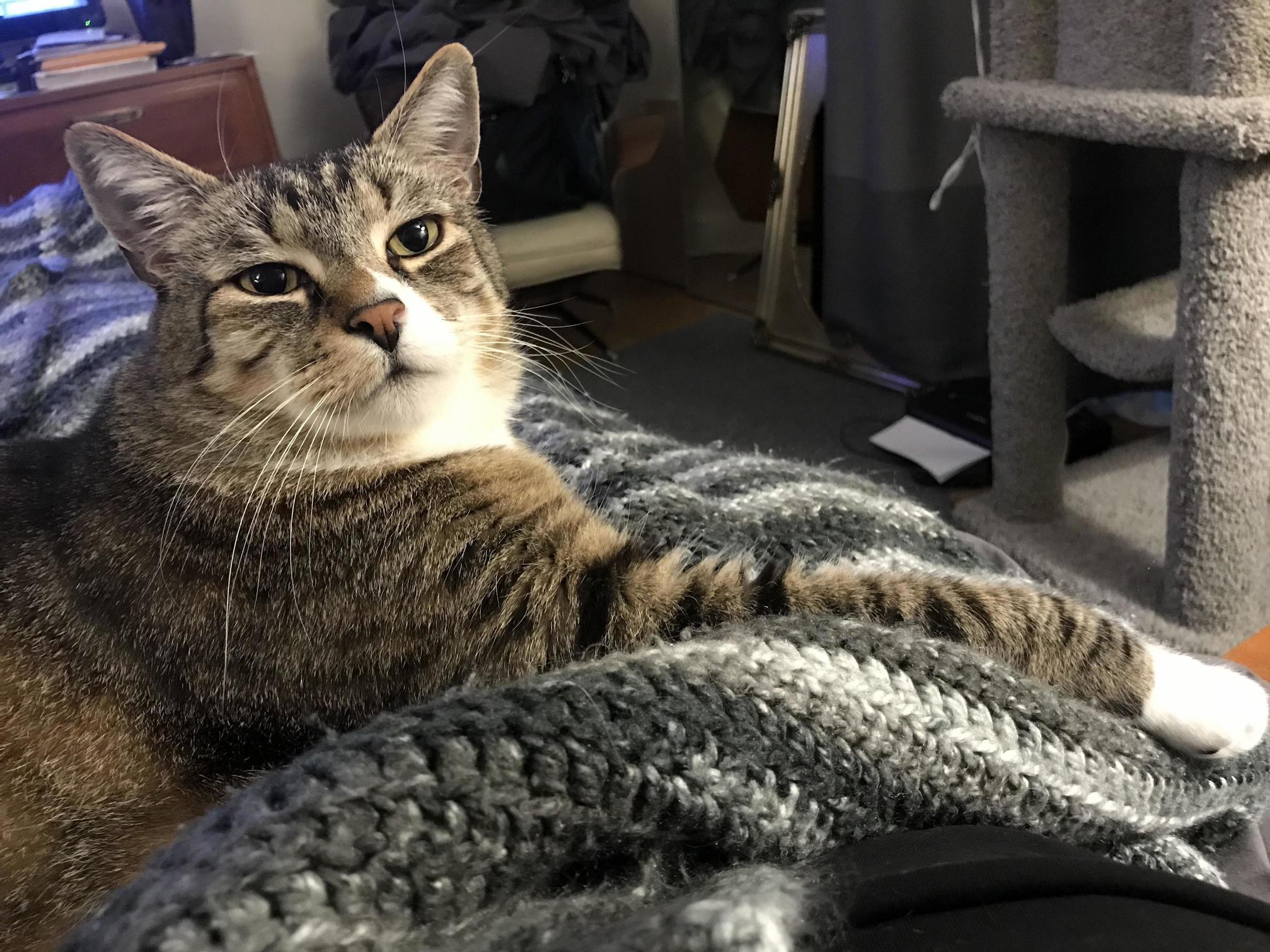 Look at My Sexy Long Arm.