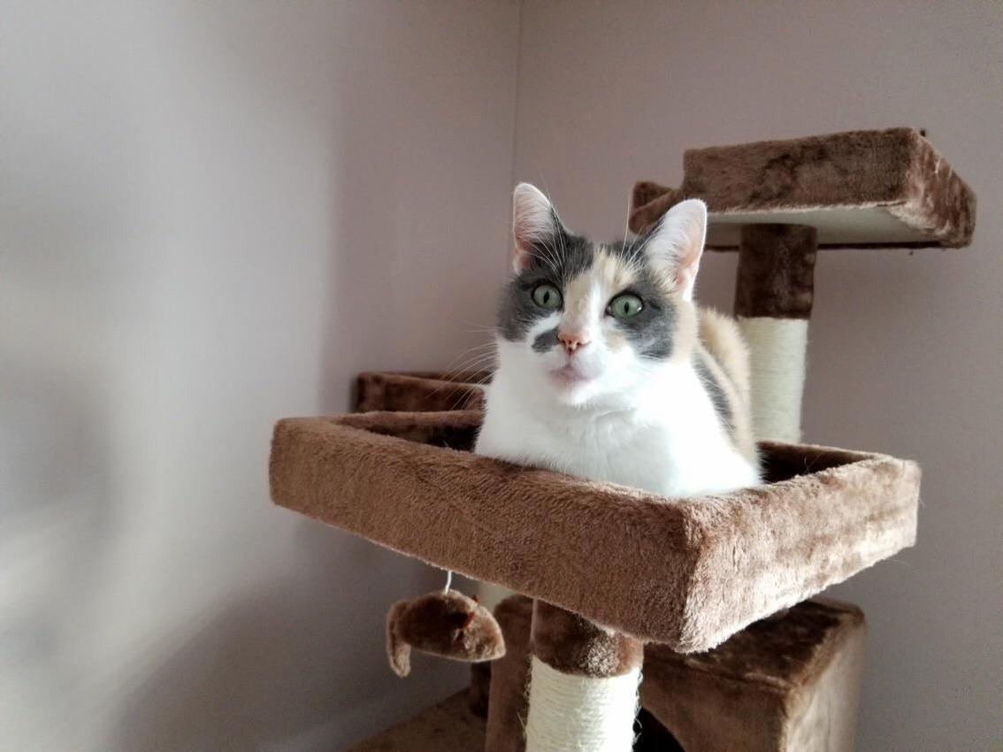 Love My Baby Girl. I Dream of the Day I Can Bring Her to Live with Me 3