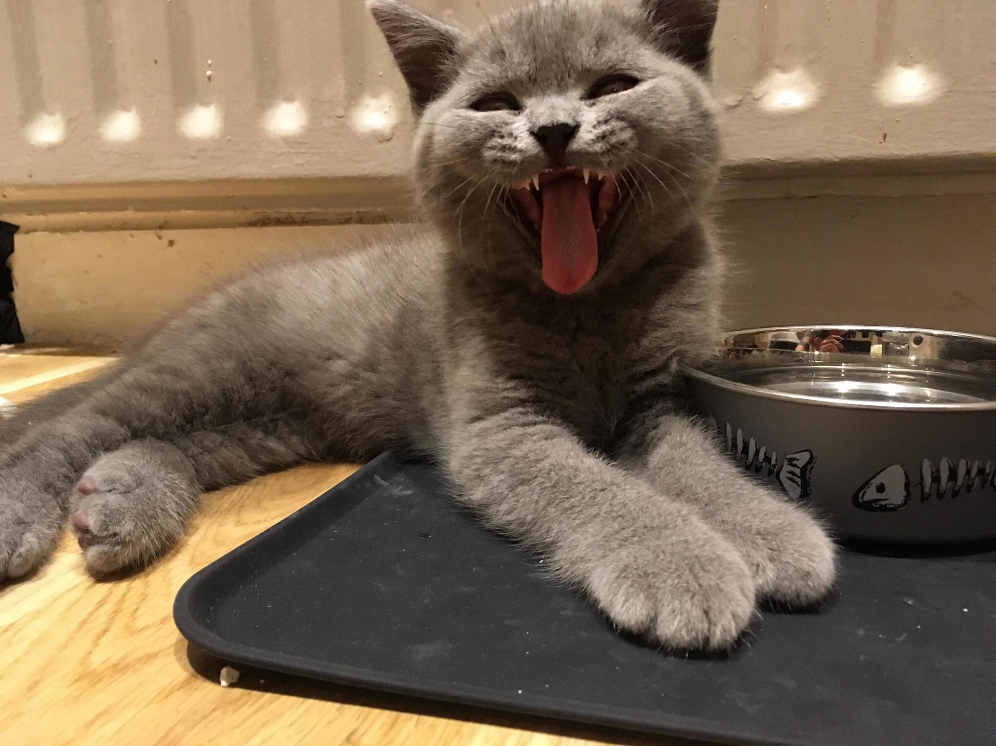 More, Please!