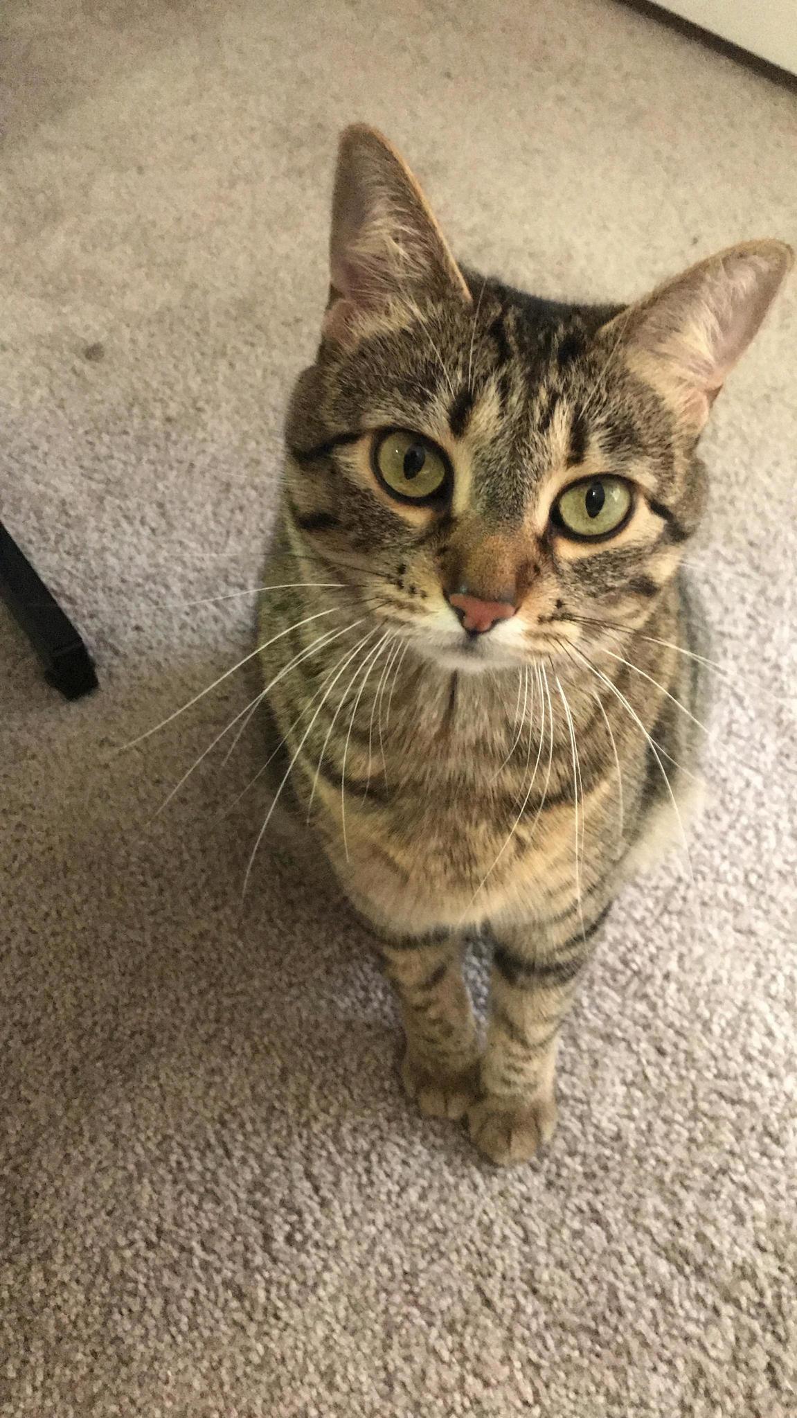 Mu Mu Looks So Regal Here