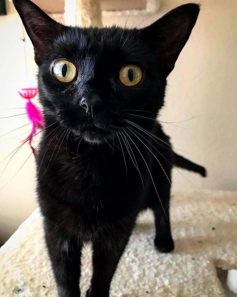 My Baby Girl, Lilith!