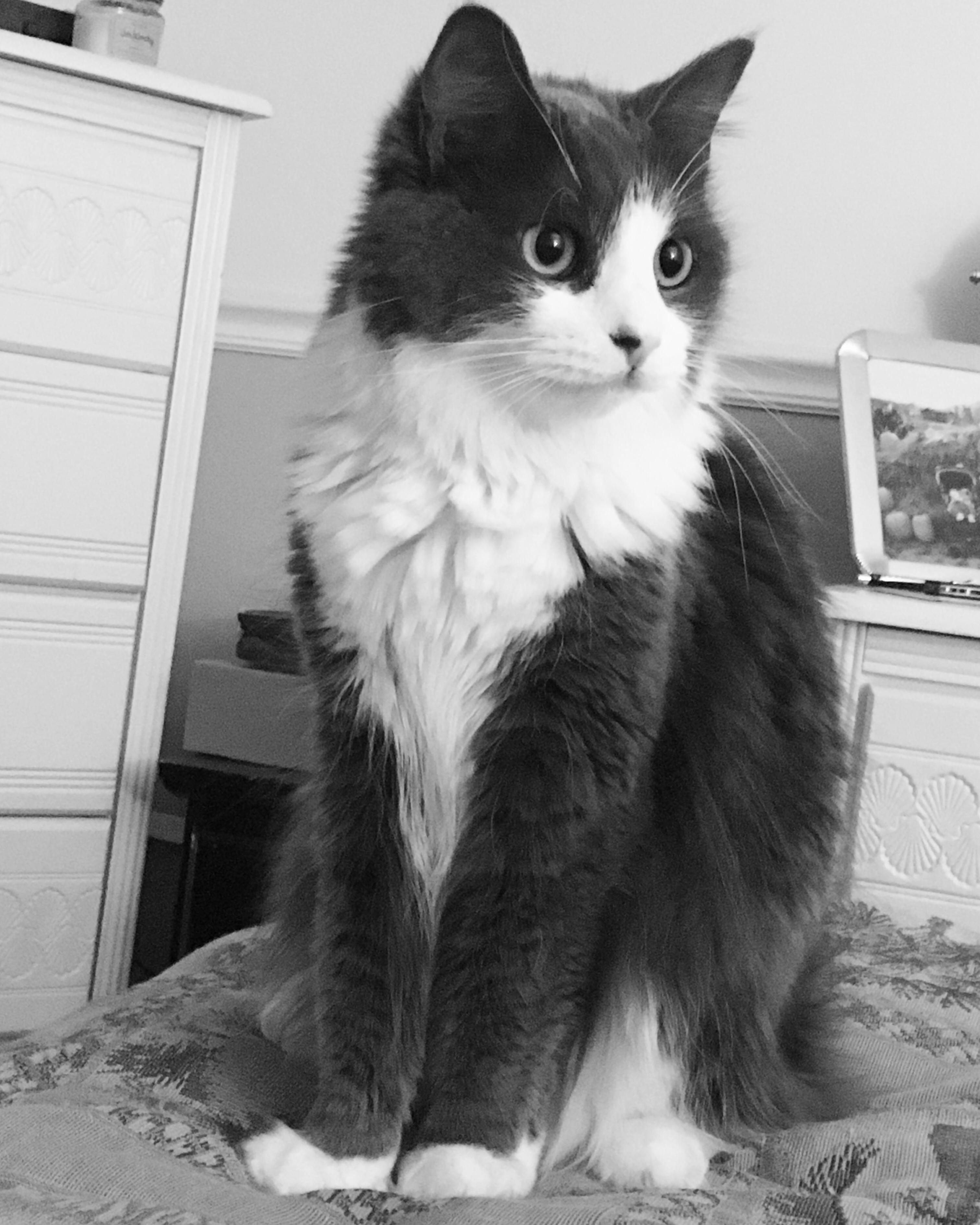 My Little Girl, Fiona