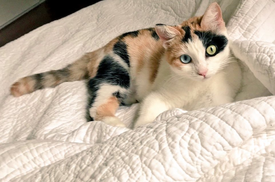 My Sweet Baby Holly!