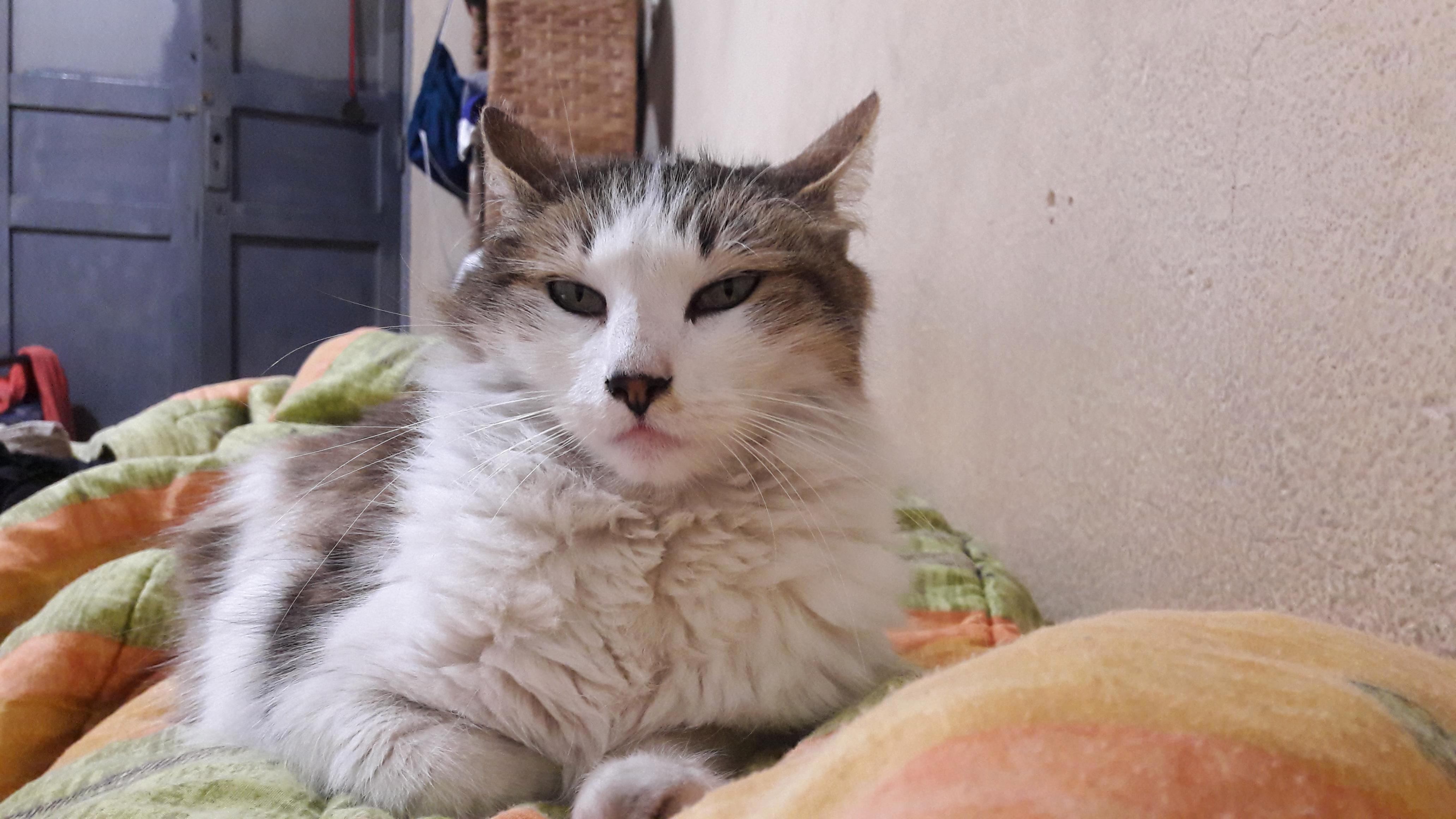 Nina Is the Queen of the House!
