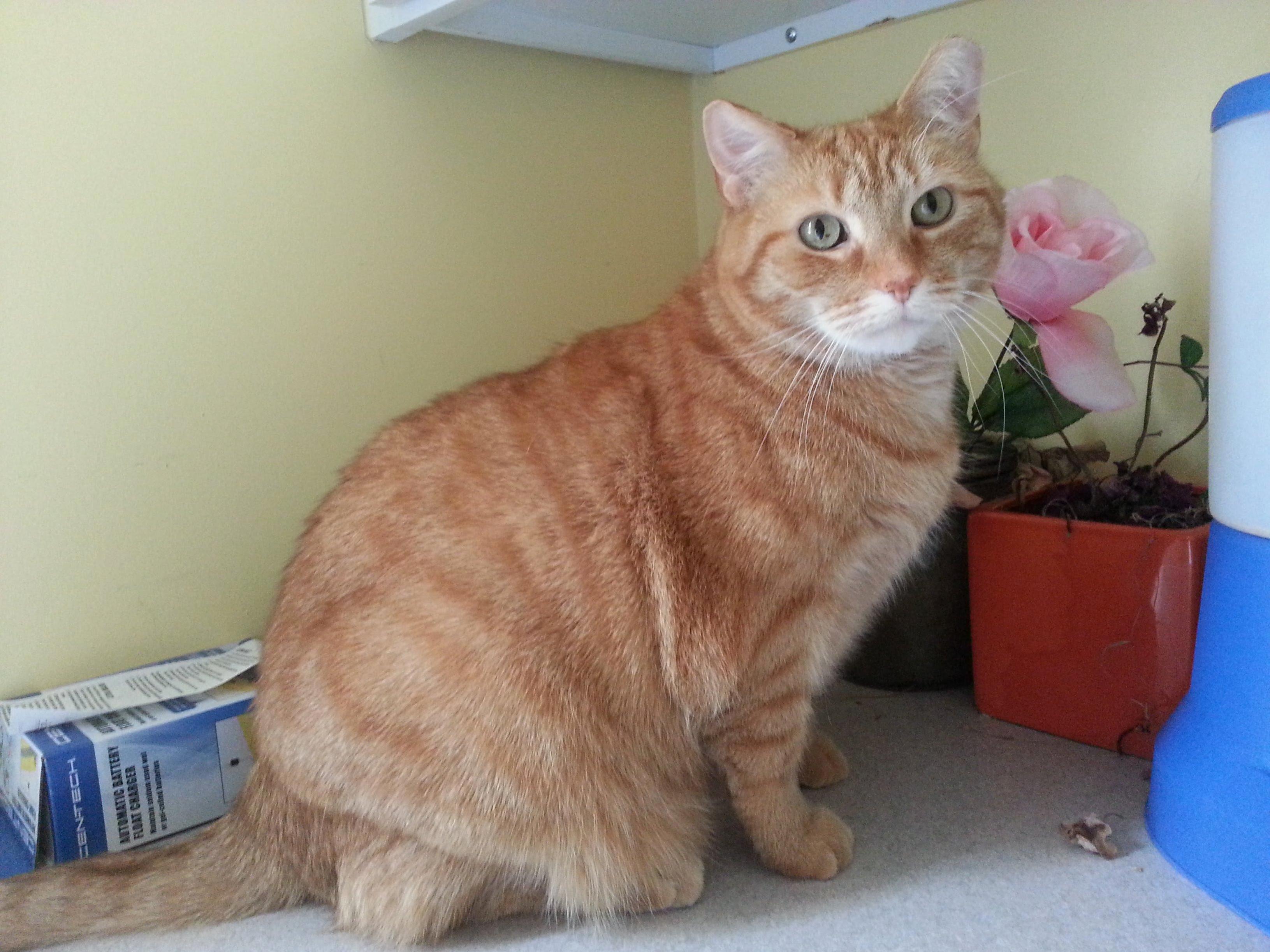 Over the Weekend We Lost Our Dear Futter. We Love You!