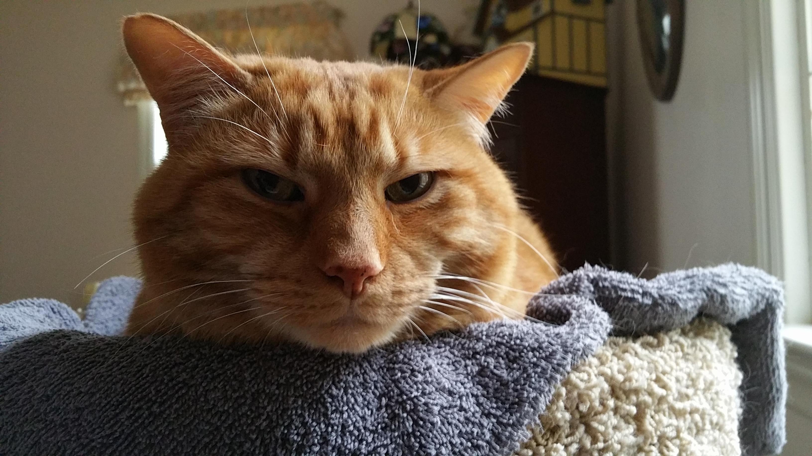 R.i.p Butter, I Hope That I Captured Your Mercurial Personality with This Picture