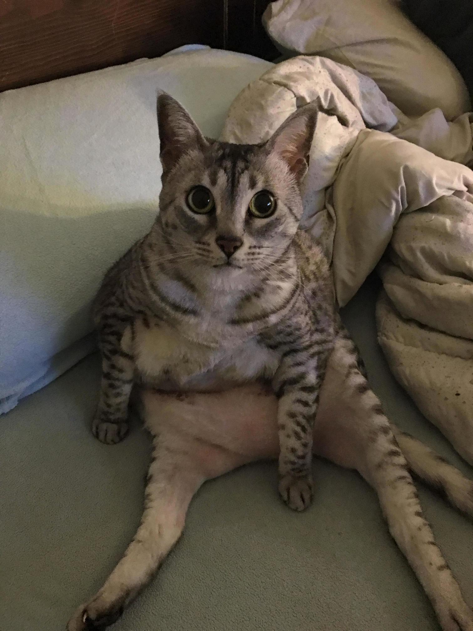 She Thinks Shes a People