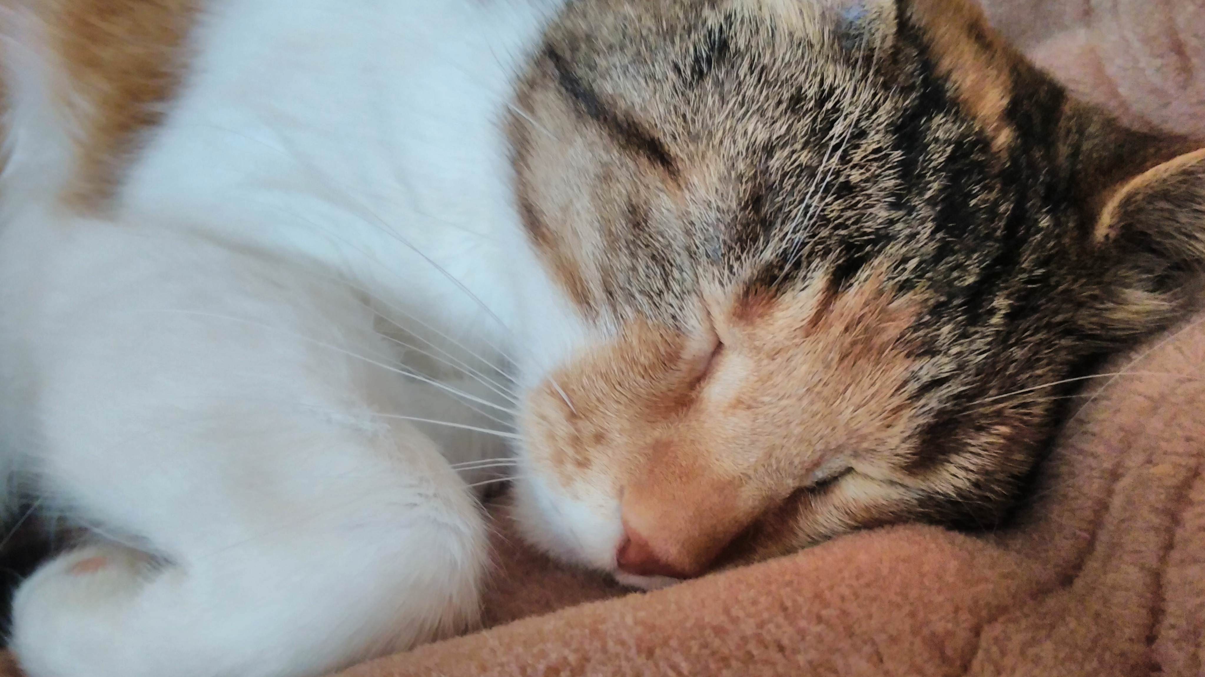 Shes So Calm