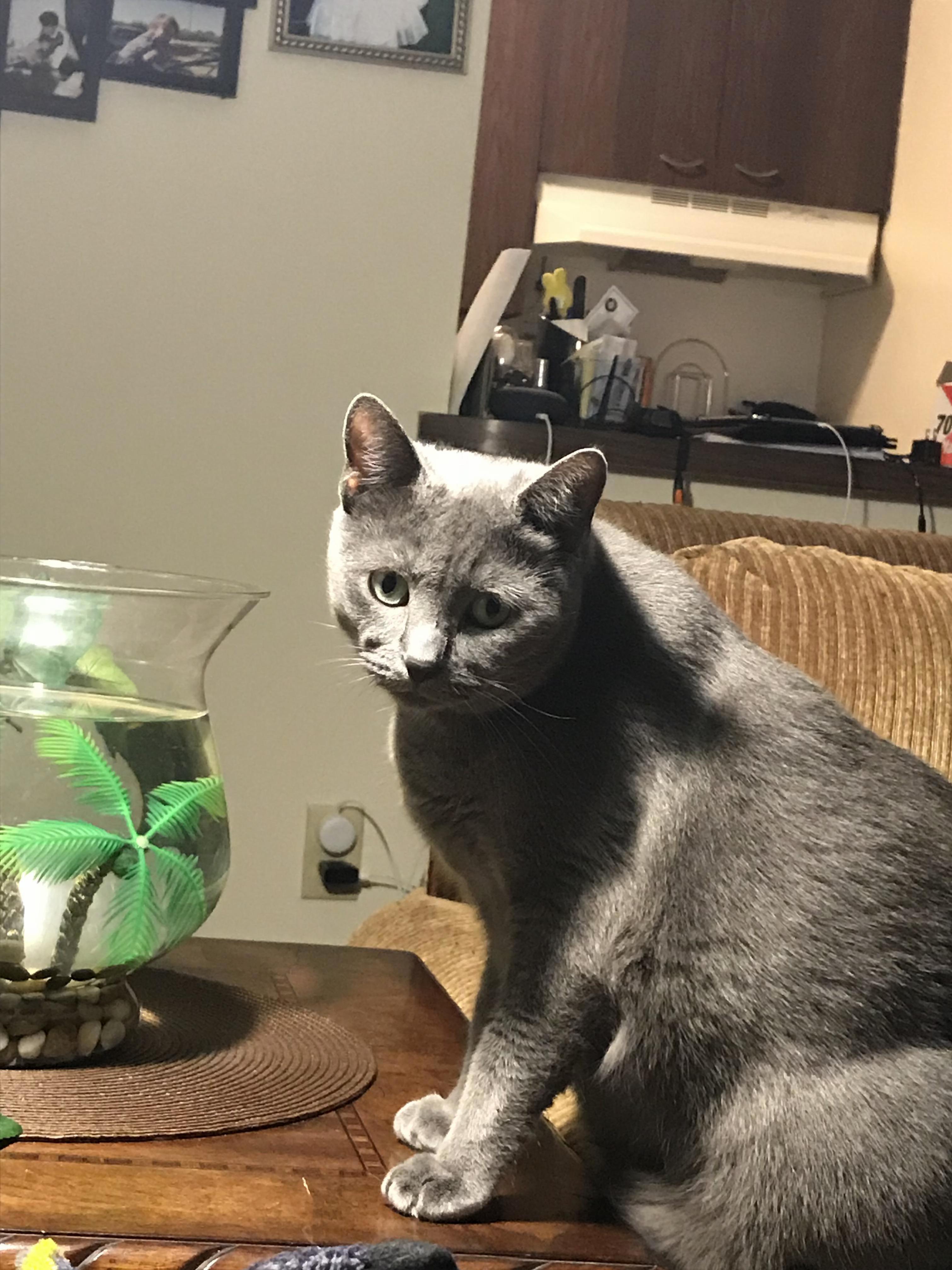 Srsly Cant You See Im Getting Ready to Go Fishing. Smh