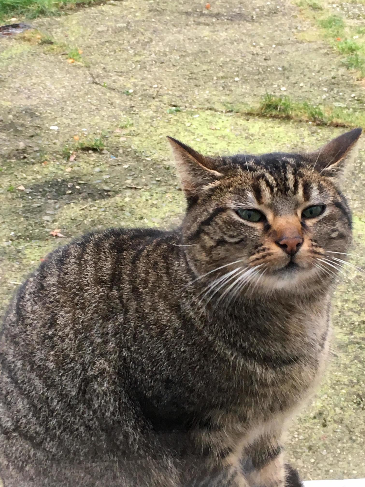The Moment Before the Sneeze