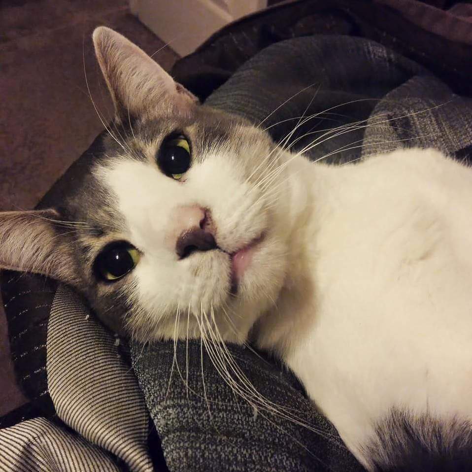 This Face... Is Everything 3