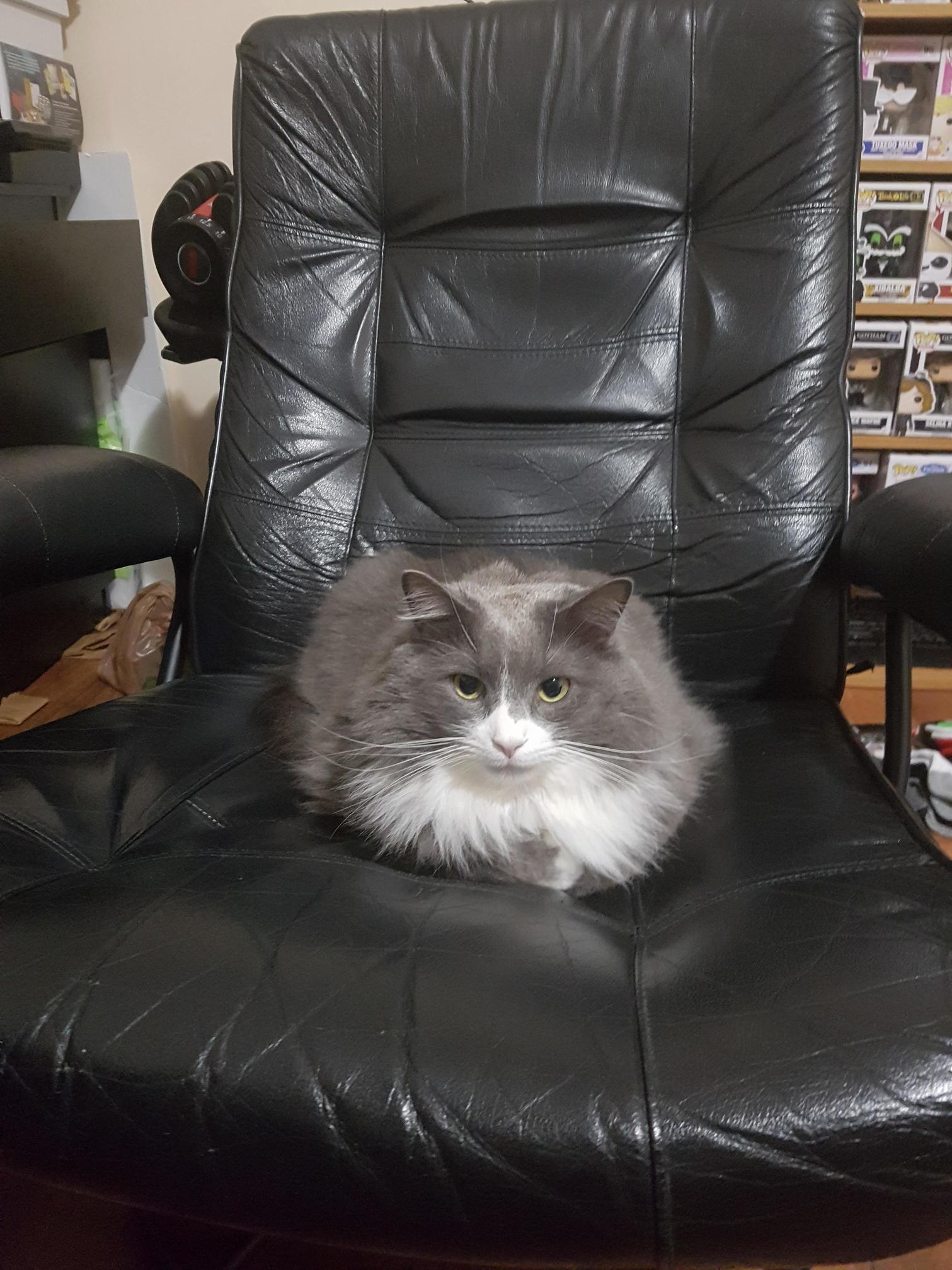 This Is Steve. Hes Been Expecting You.