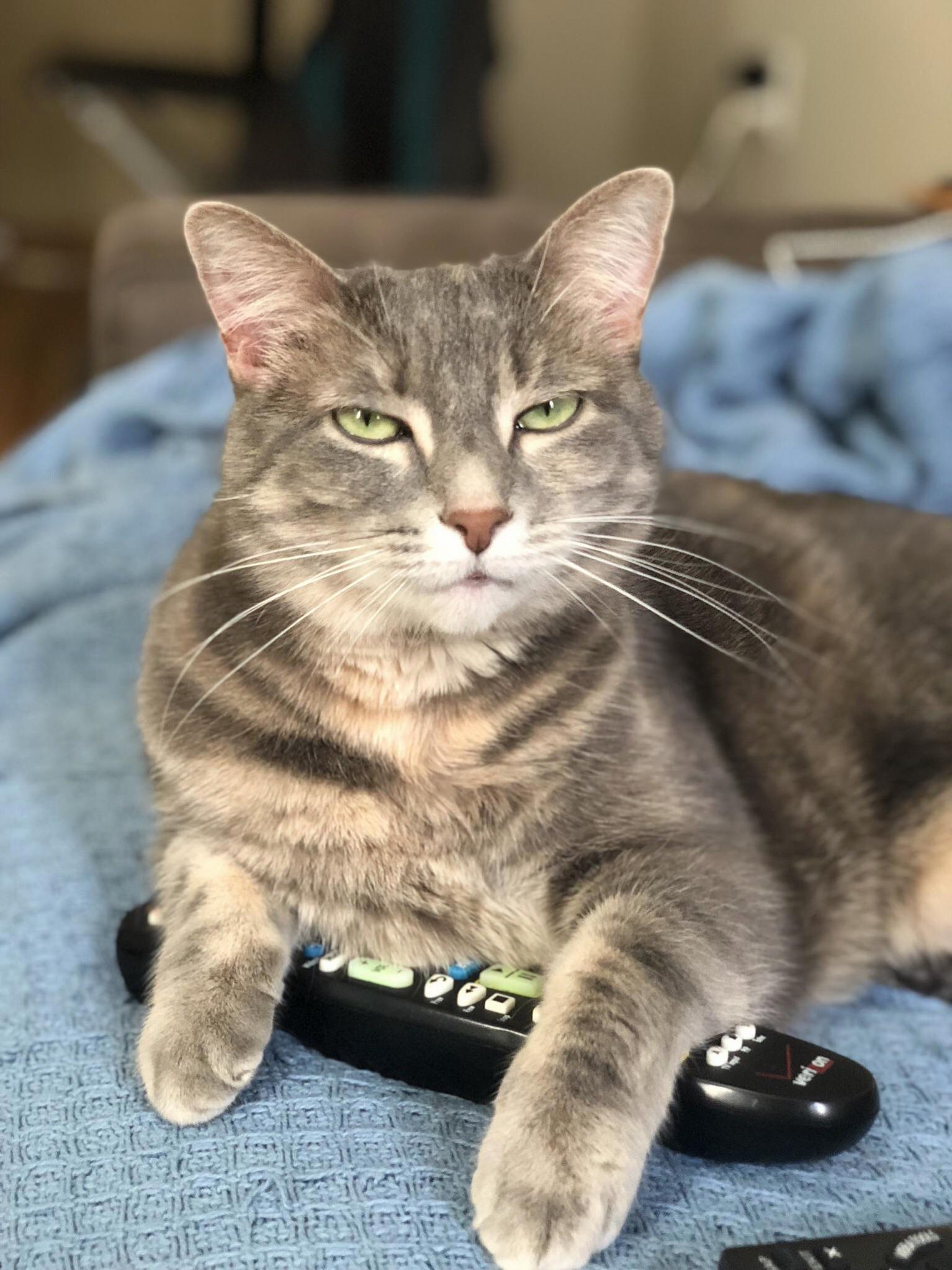 What Did I Tell You About Changing the Channel
